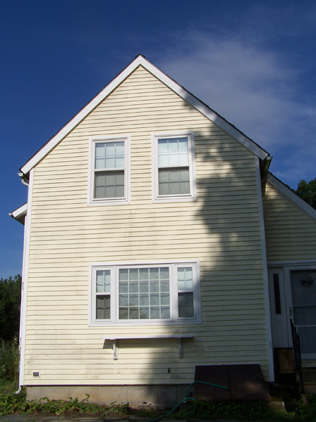 Before - east side of house crop July 2019.jpg