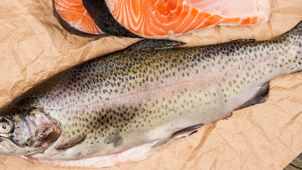 salmon.jpg