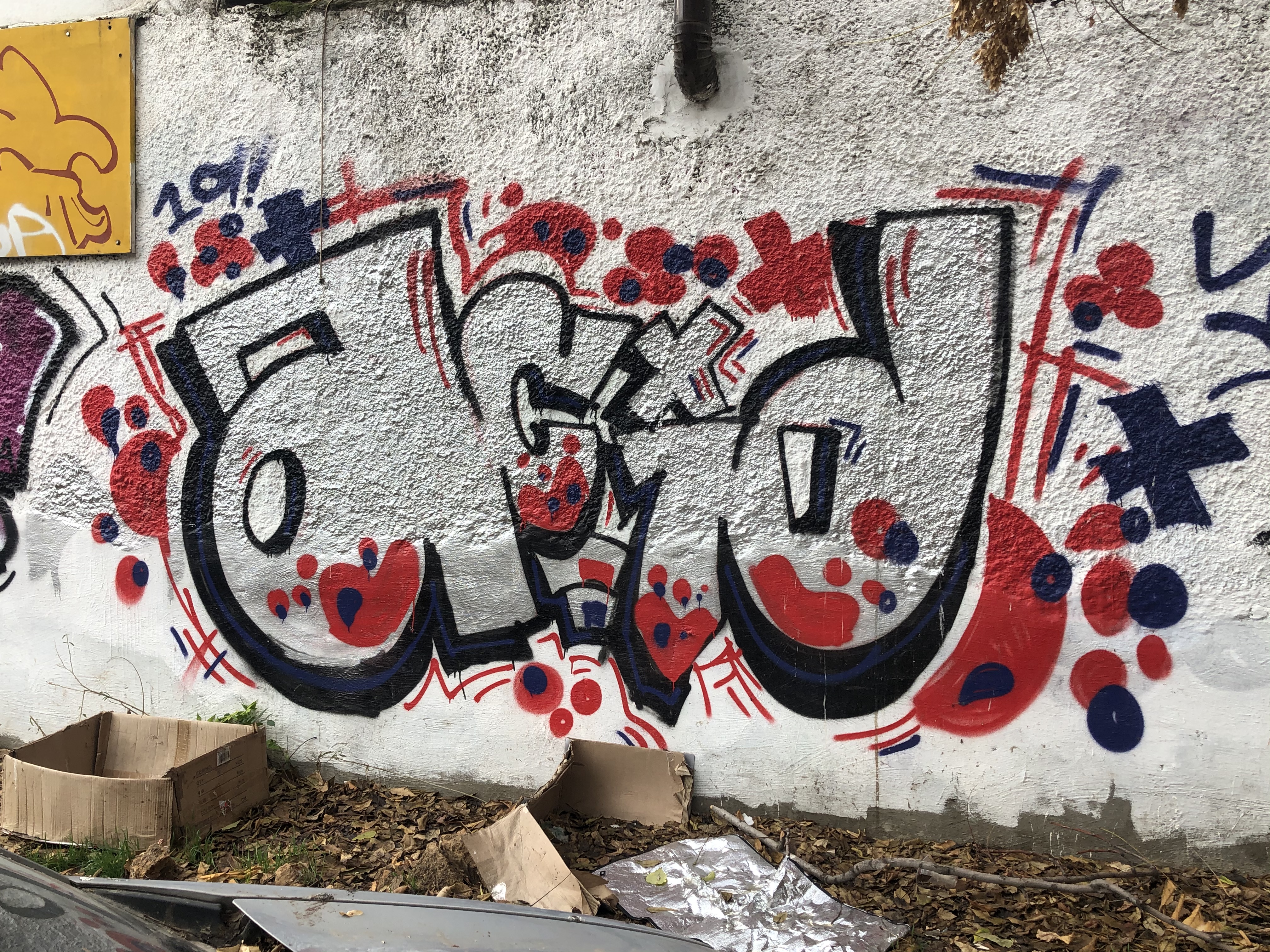 0B3C42EA-7564-4E11-92D0-755D5302F814.jpeg