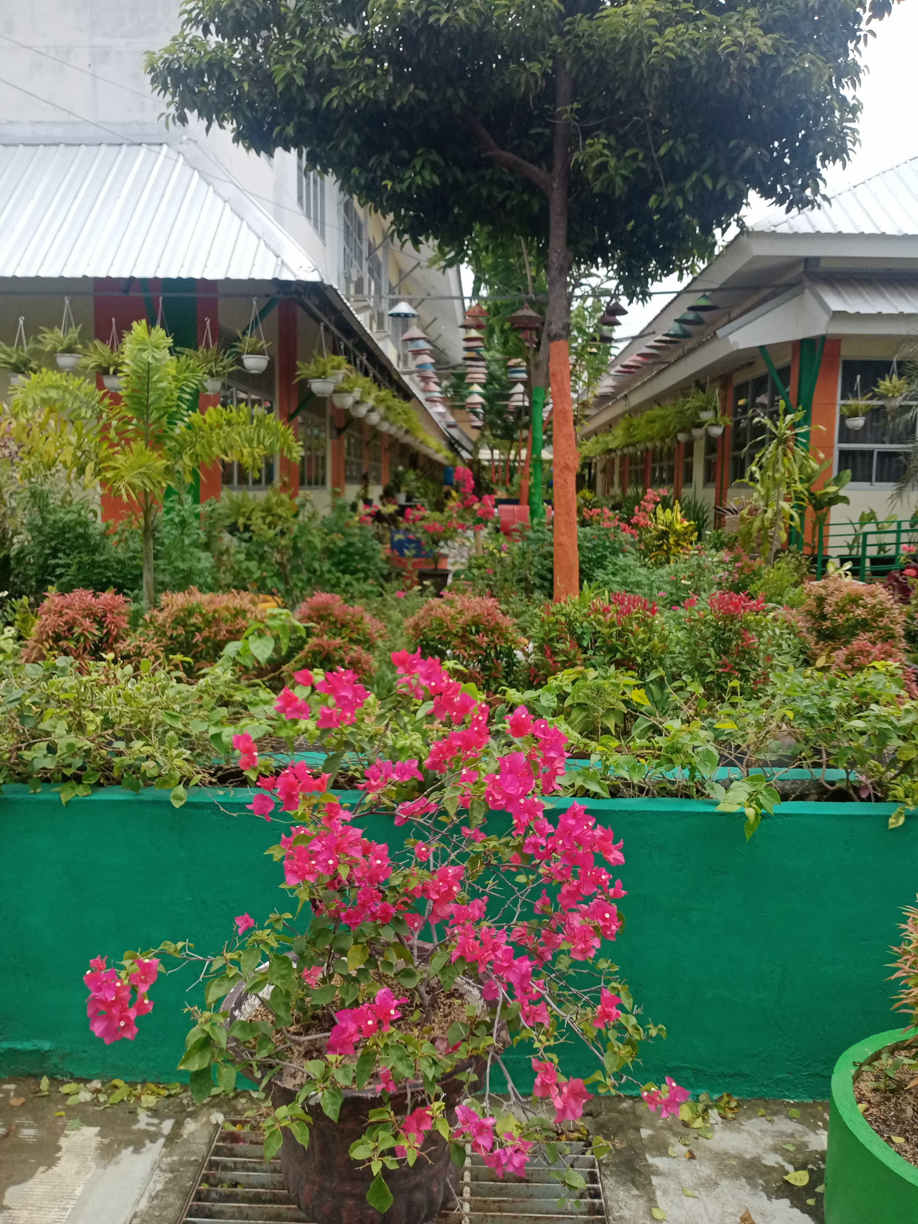 IMG20210401120323.jpg