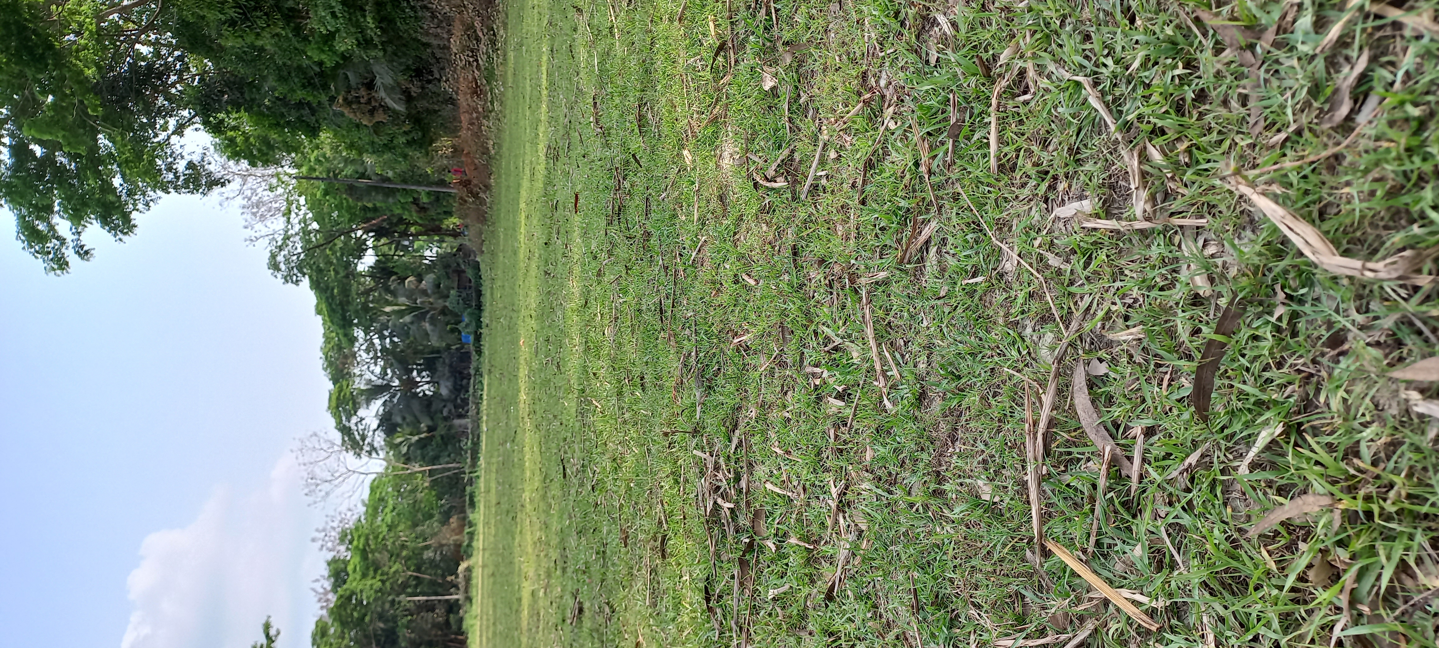20220401_153957.jpg