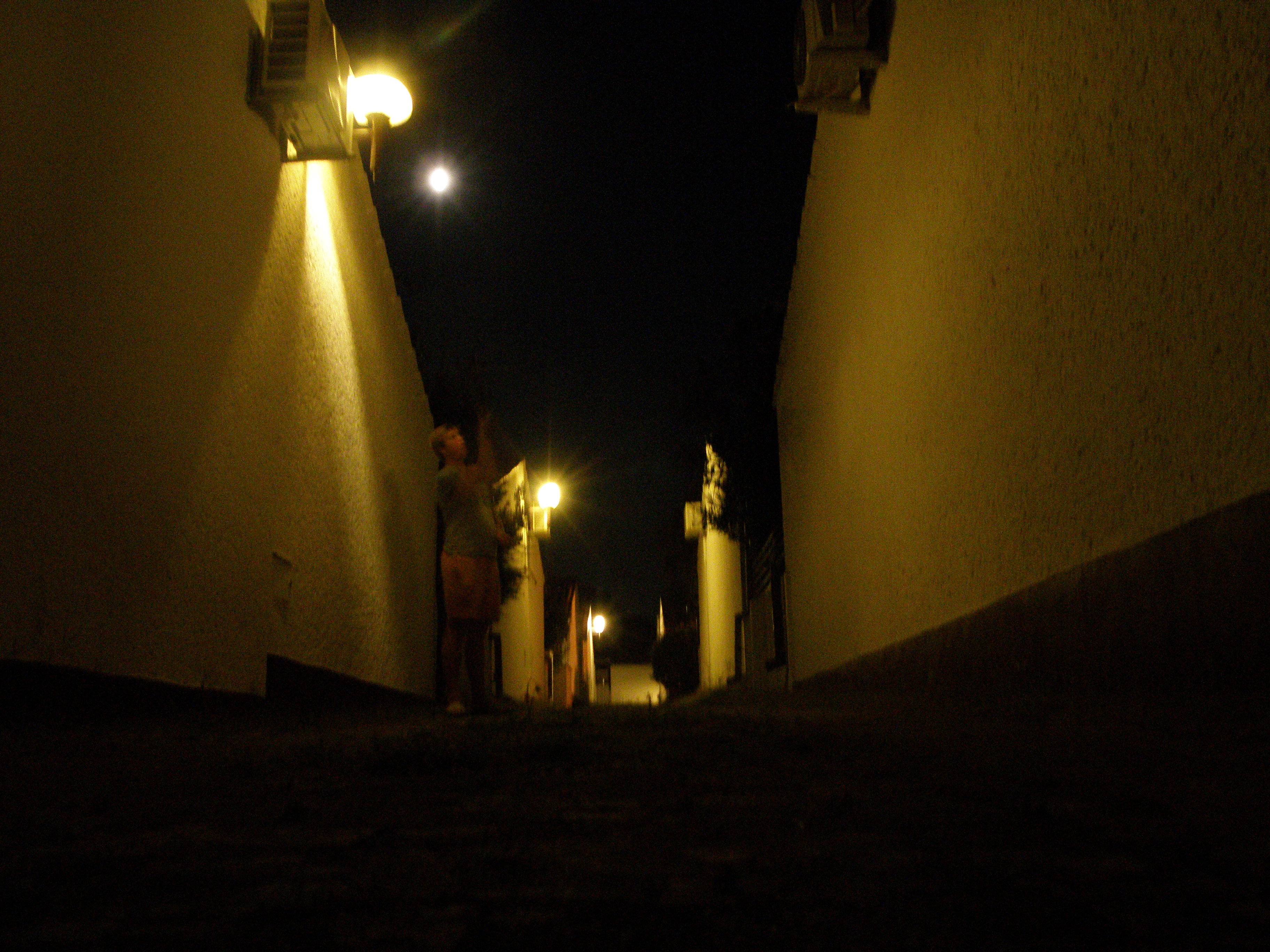 P1010387.JPG