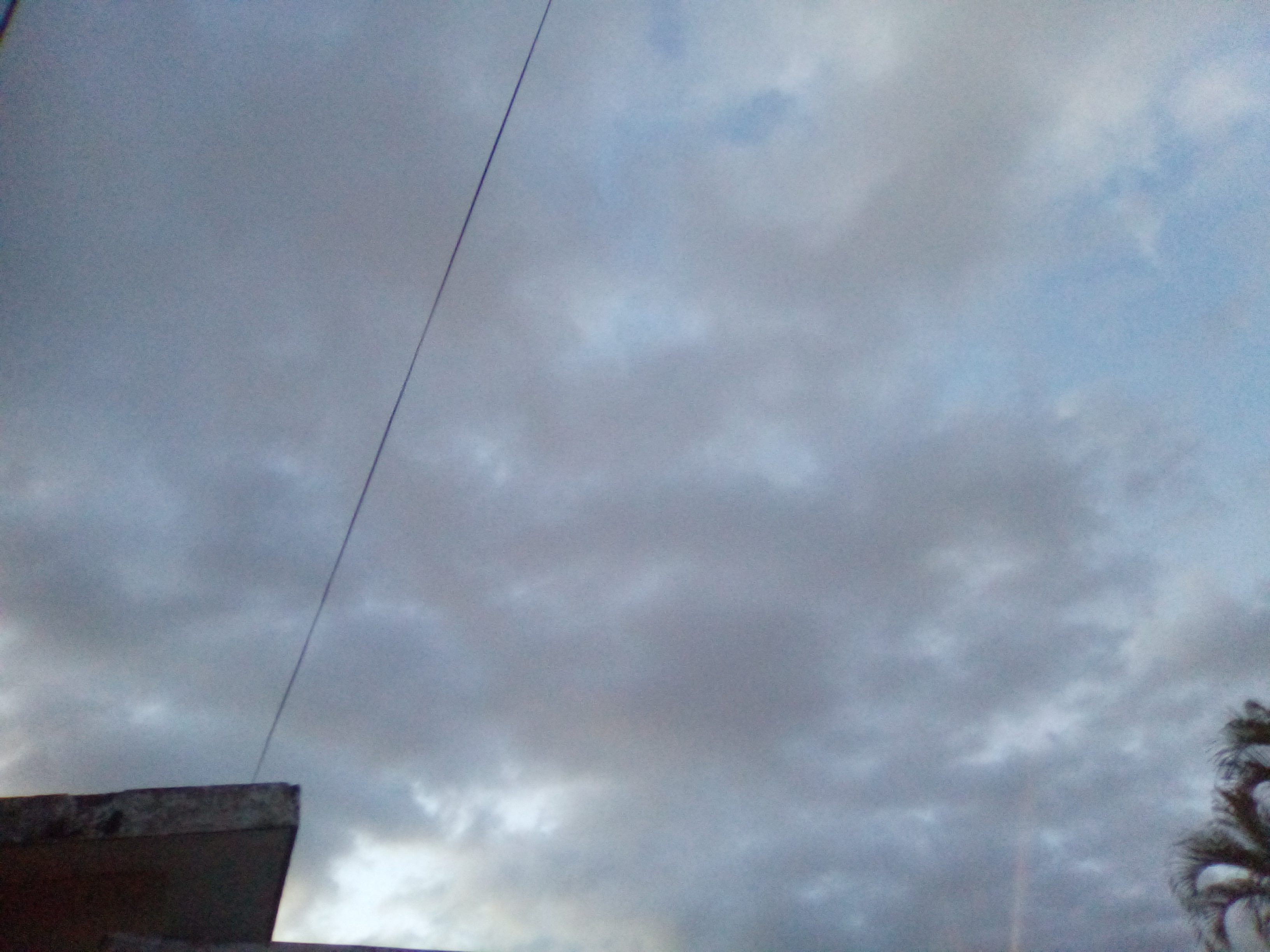 IMG_20211128_183334.jpg