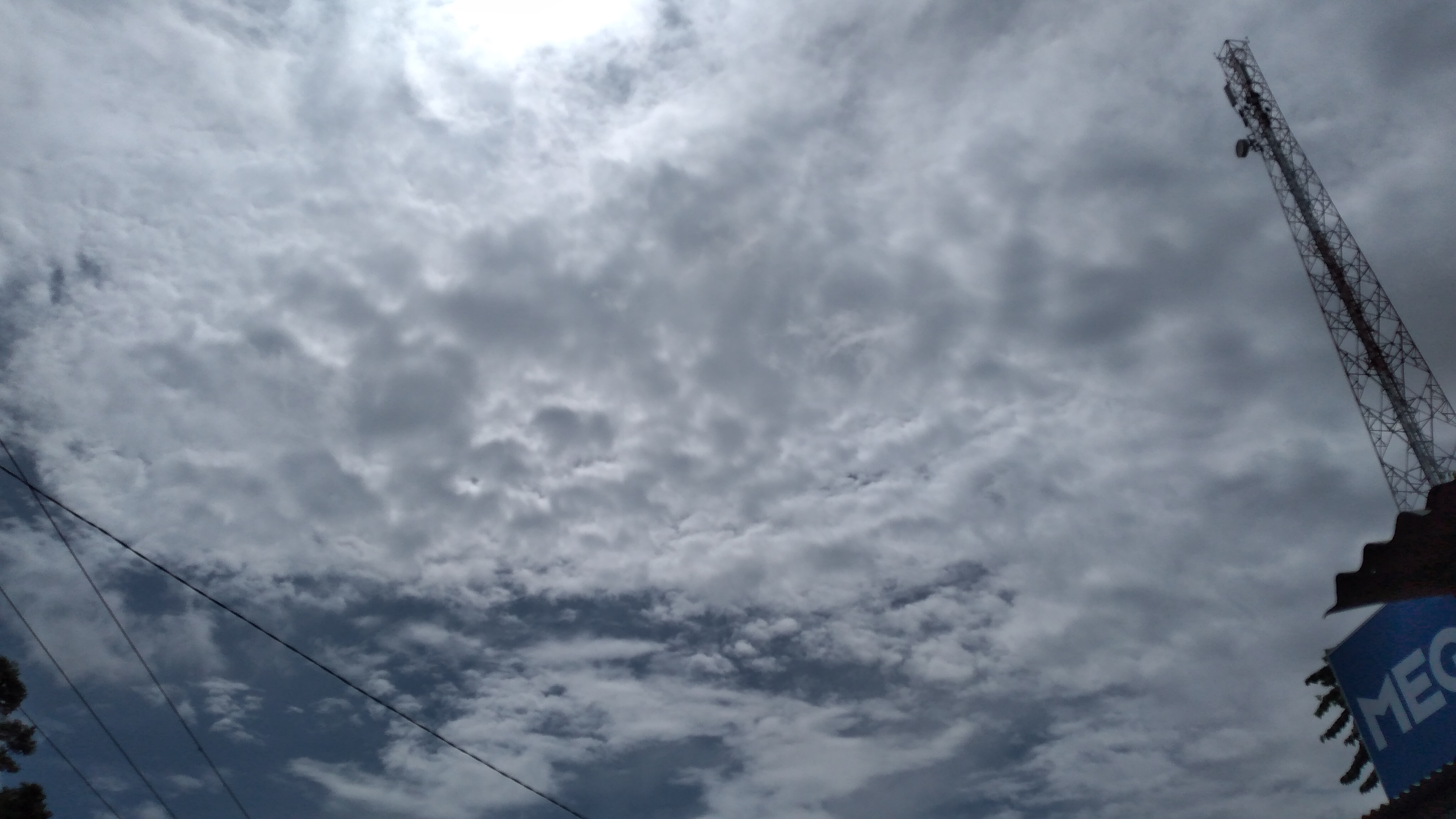 20221017_103116.jpg