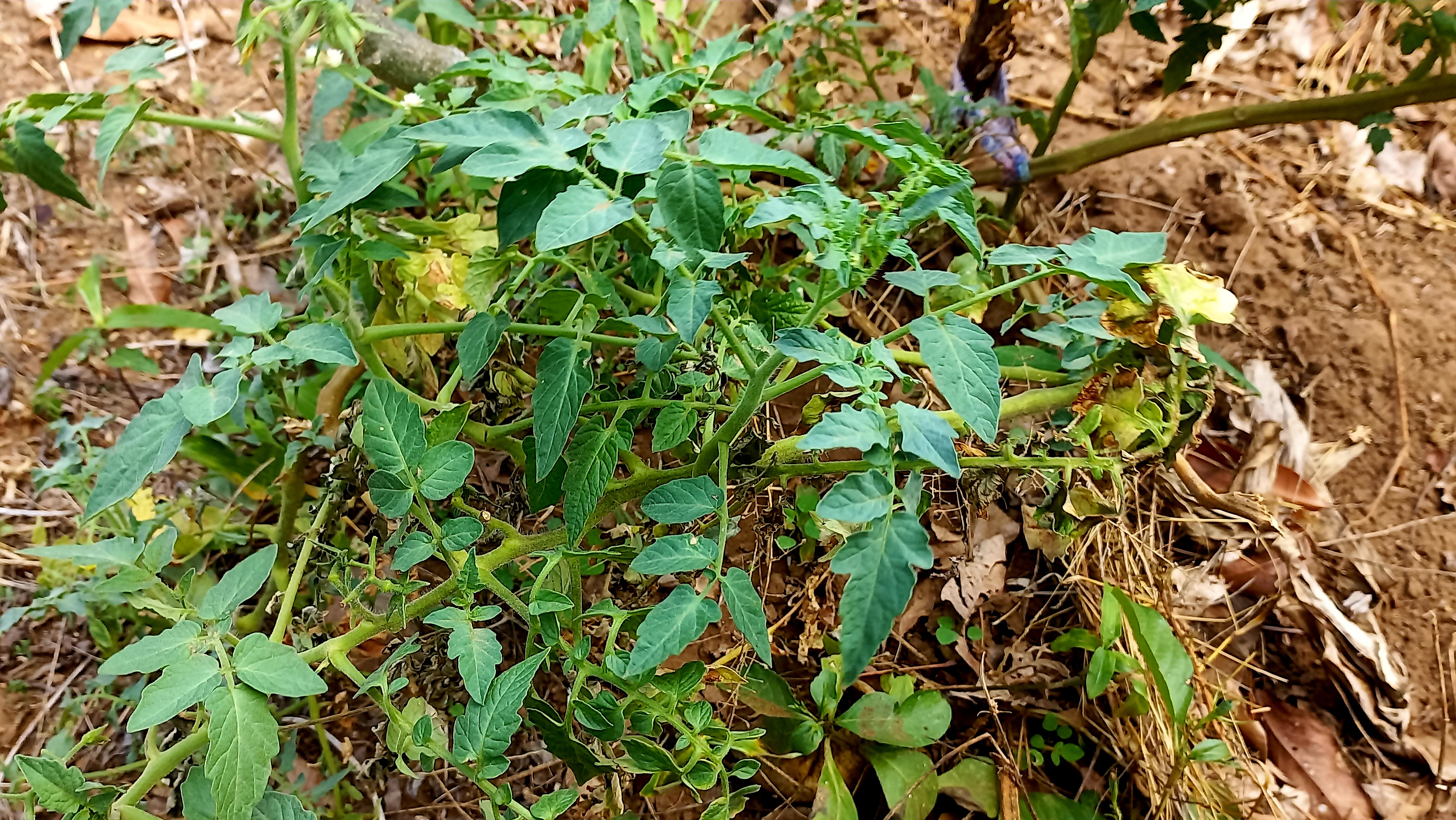 20250125_121943.jpg