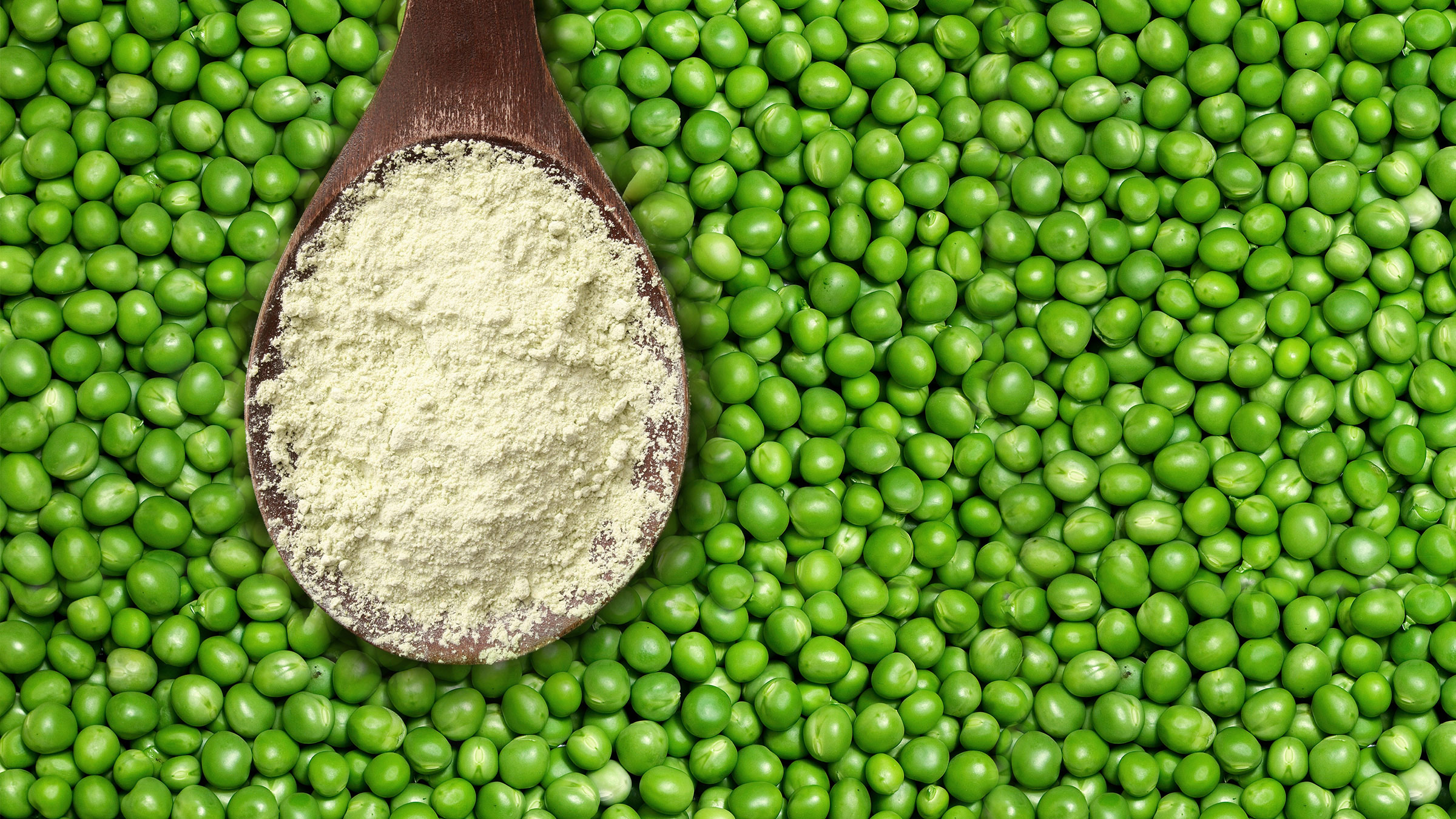 pea-protein - powder_tcm11-41372.jpg