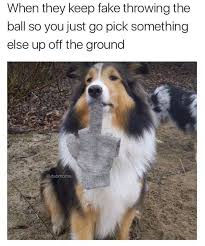 images (30).jpeg