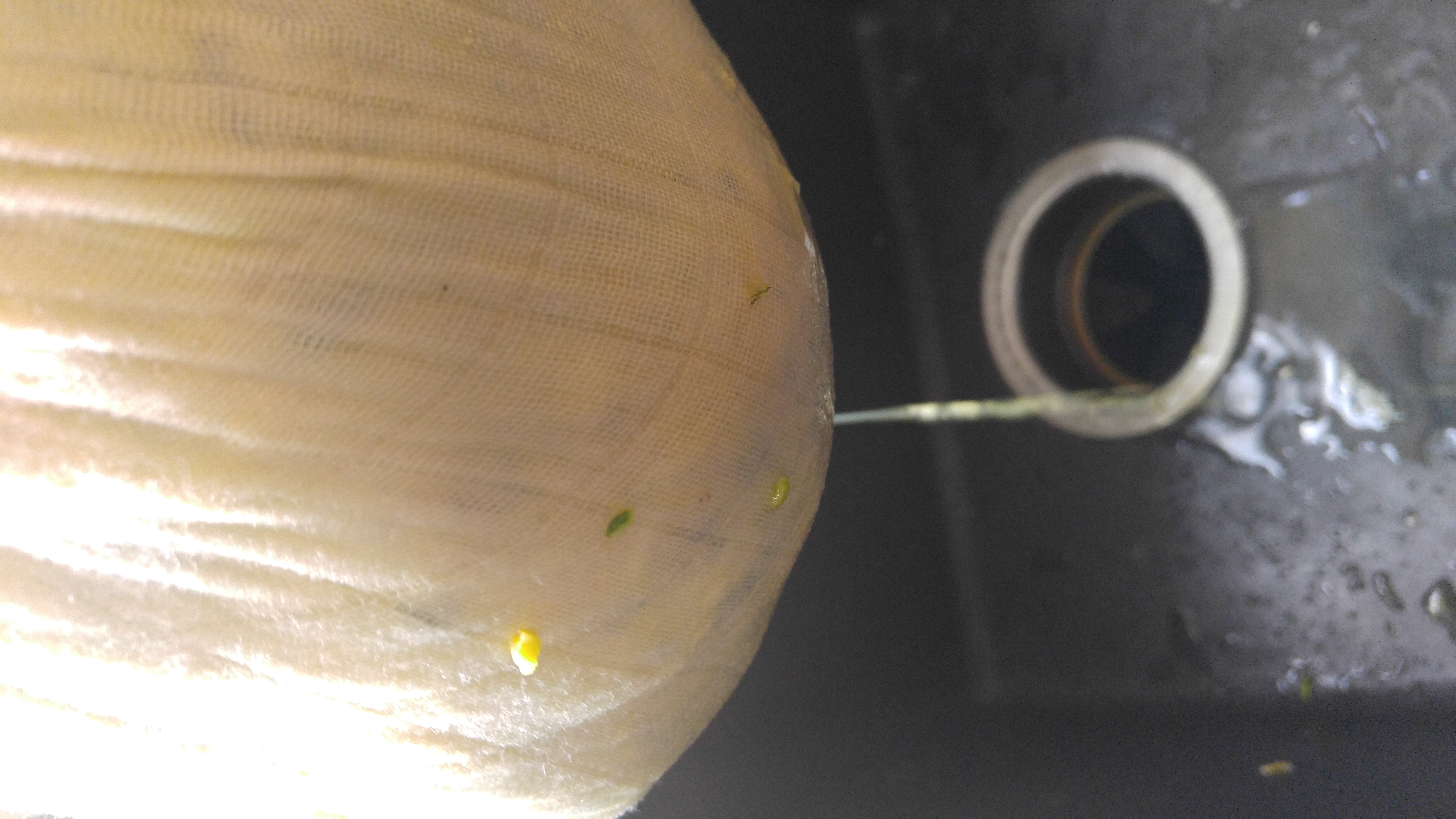 20180716_171819.jpg
