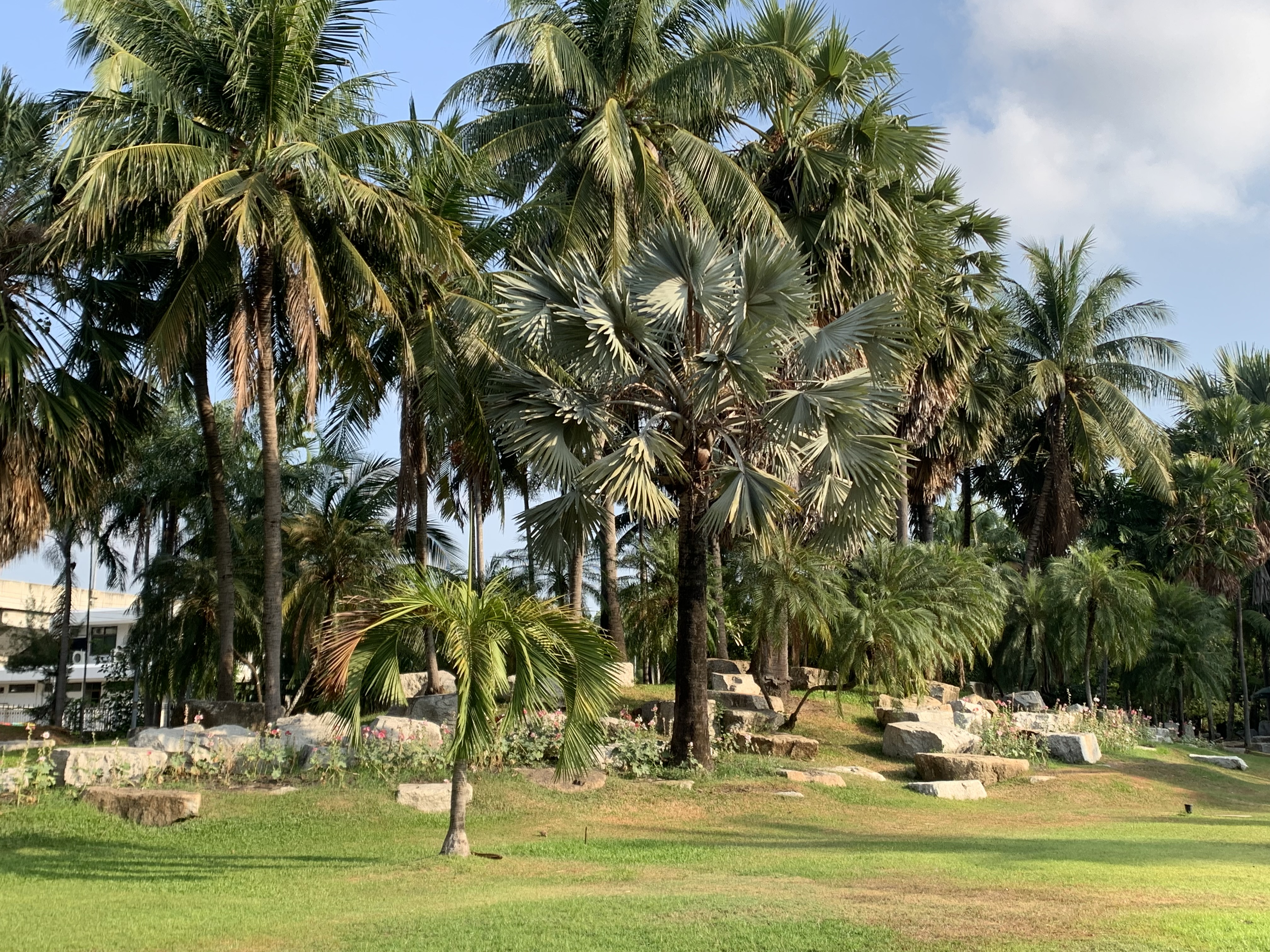 Stone Park10.jpg