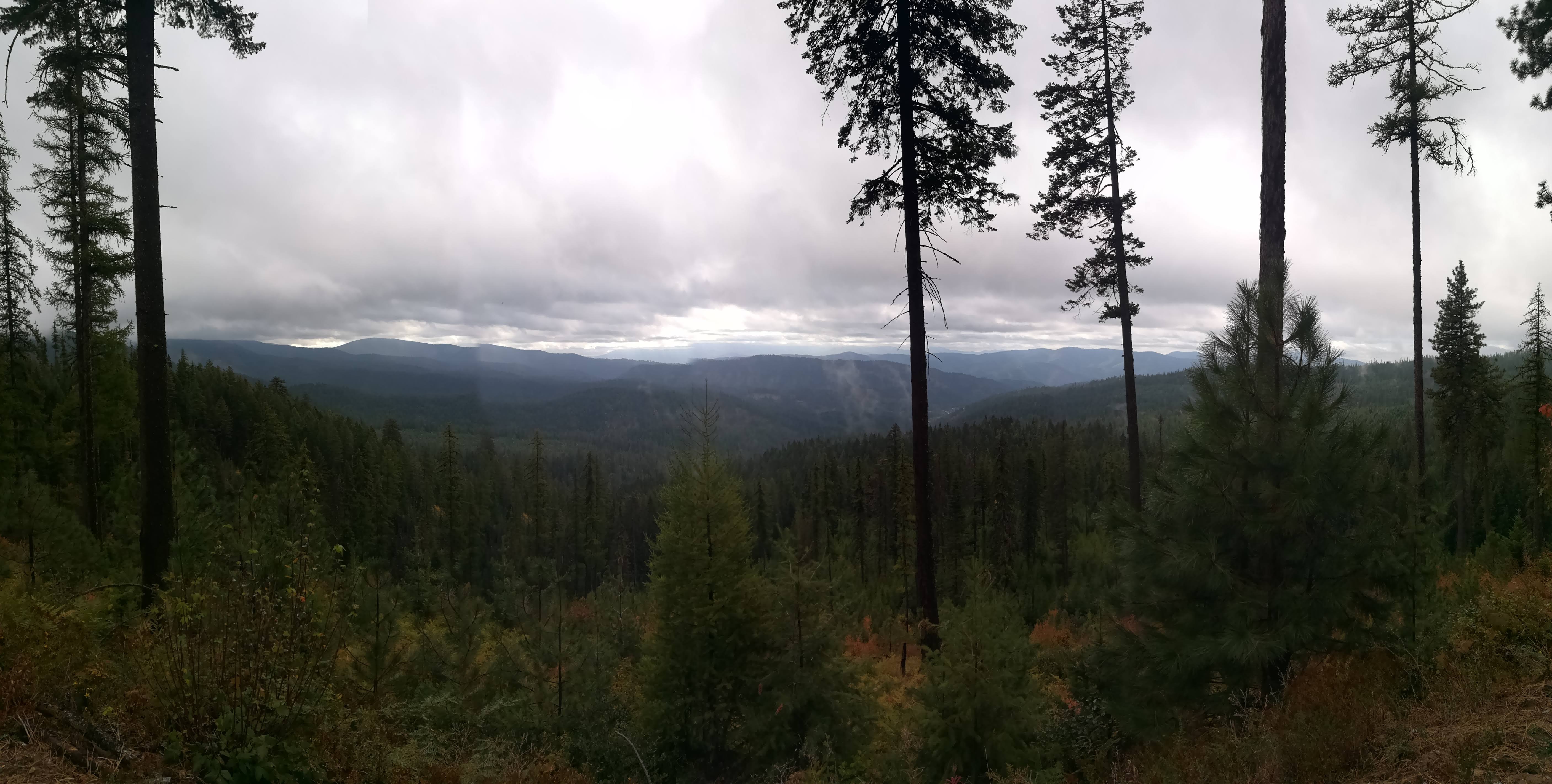 IMG_20180923_095450.jpg