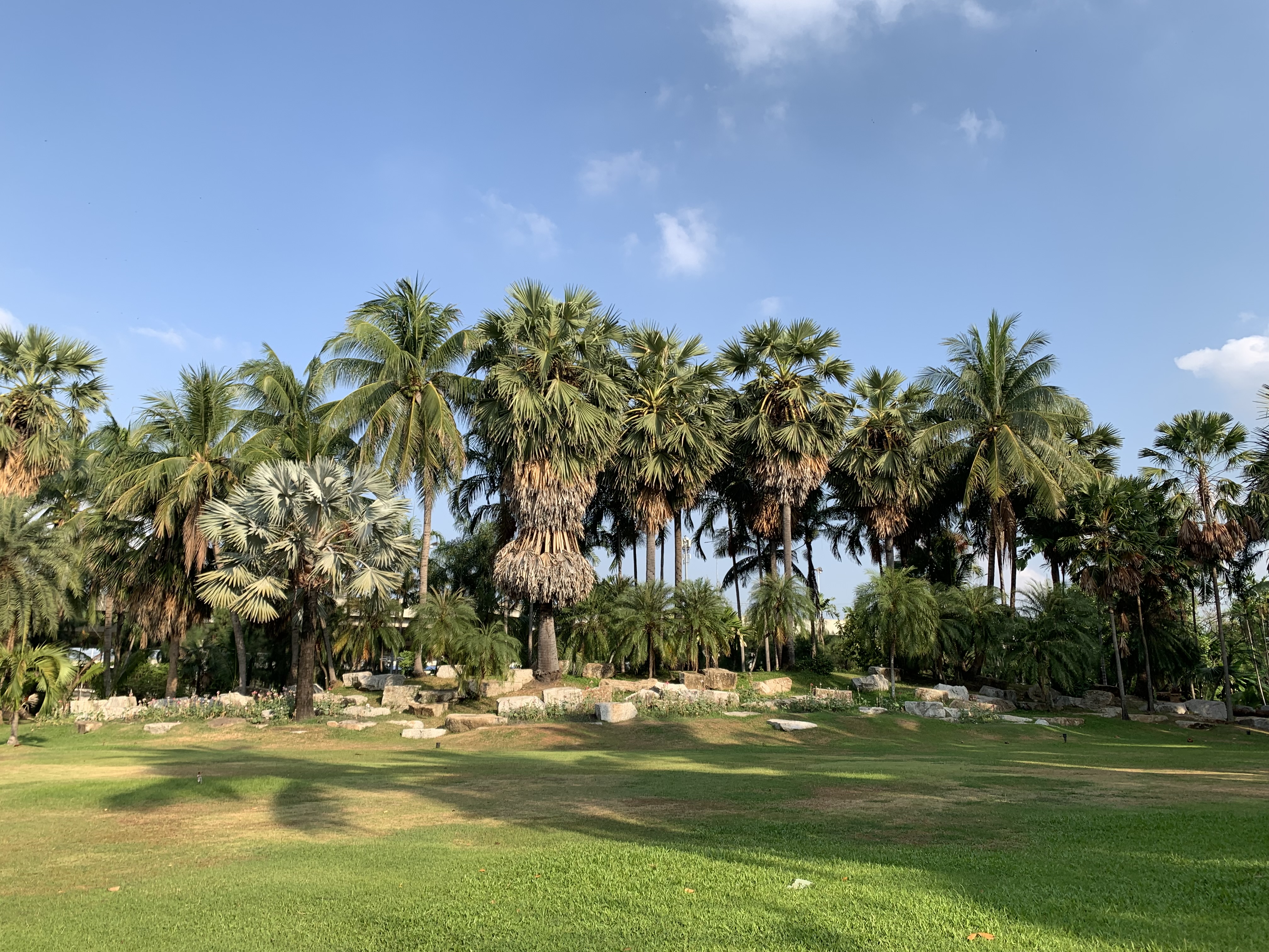 Stone Park5.jpg