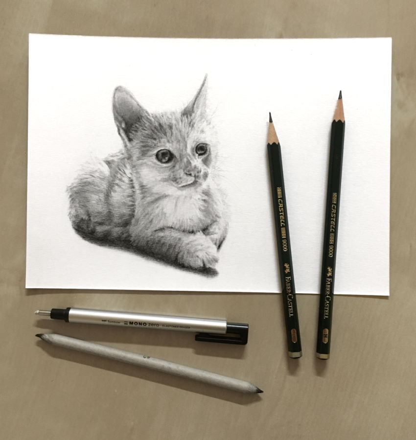 Cute Cat Pencil Drawings · Creative Fabrica