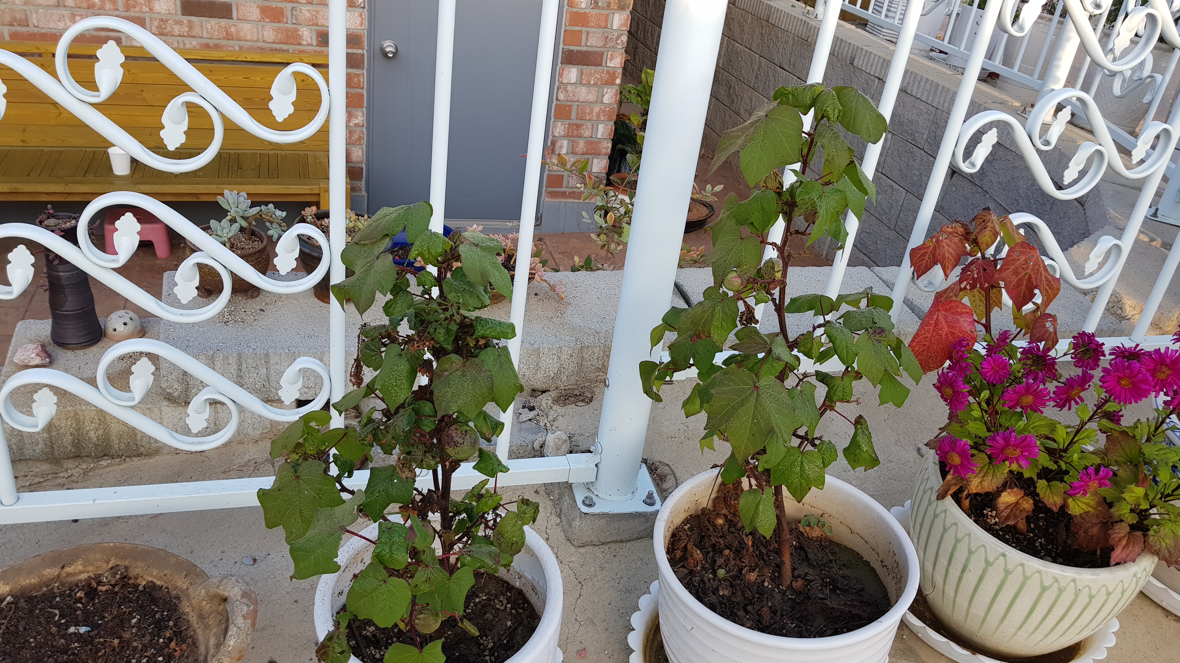 20181003_072312.jpg