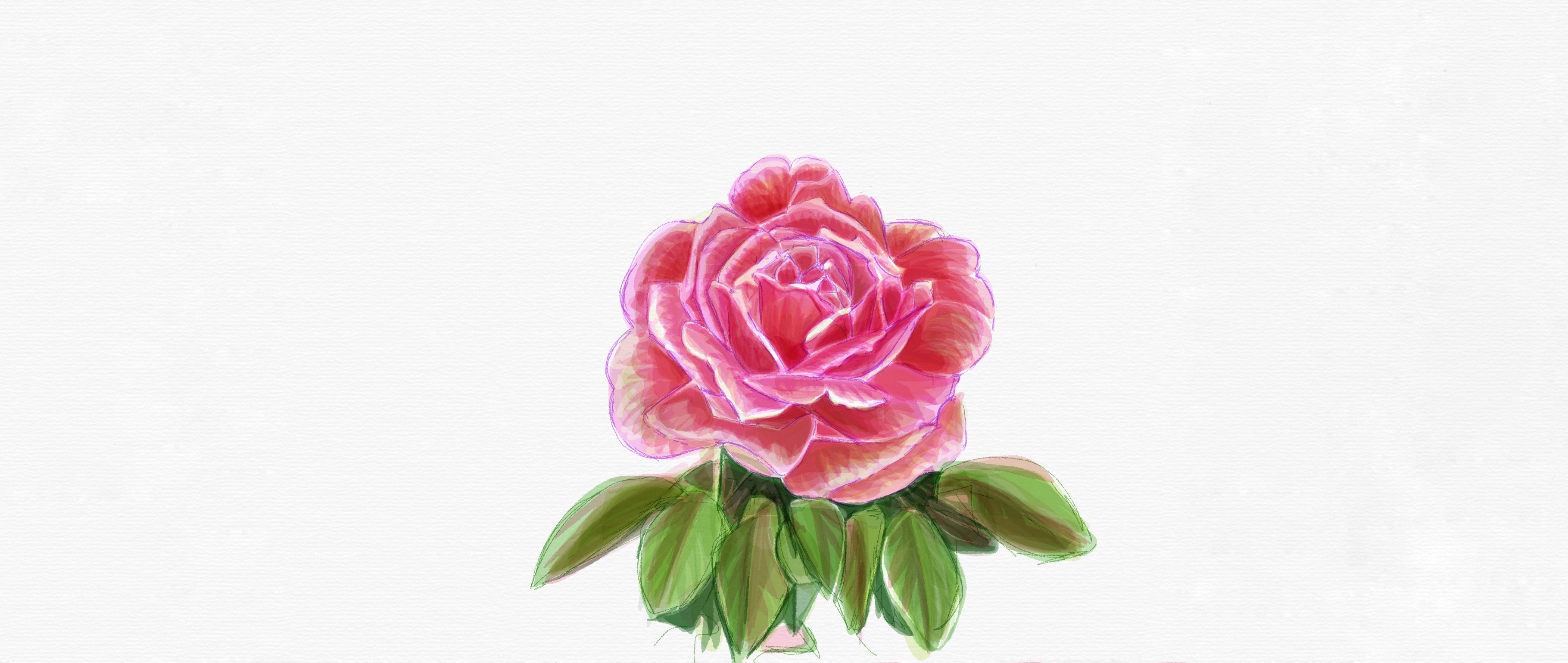 DD700D44-E203-471A-912E-55FCB1573048.jpeg