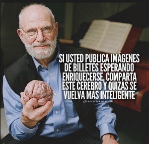 CEREBRO.jpg