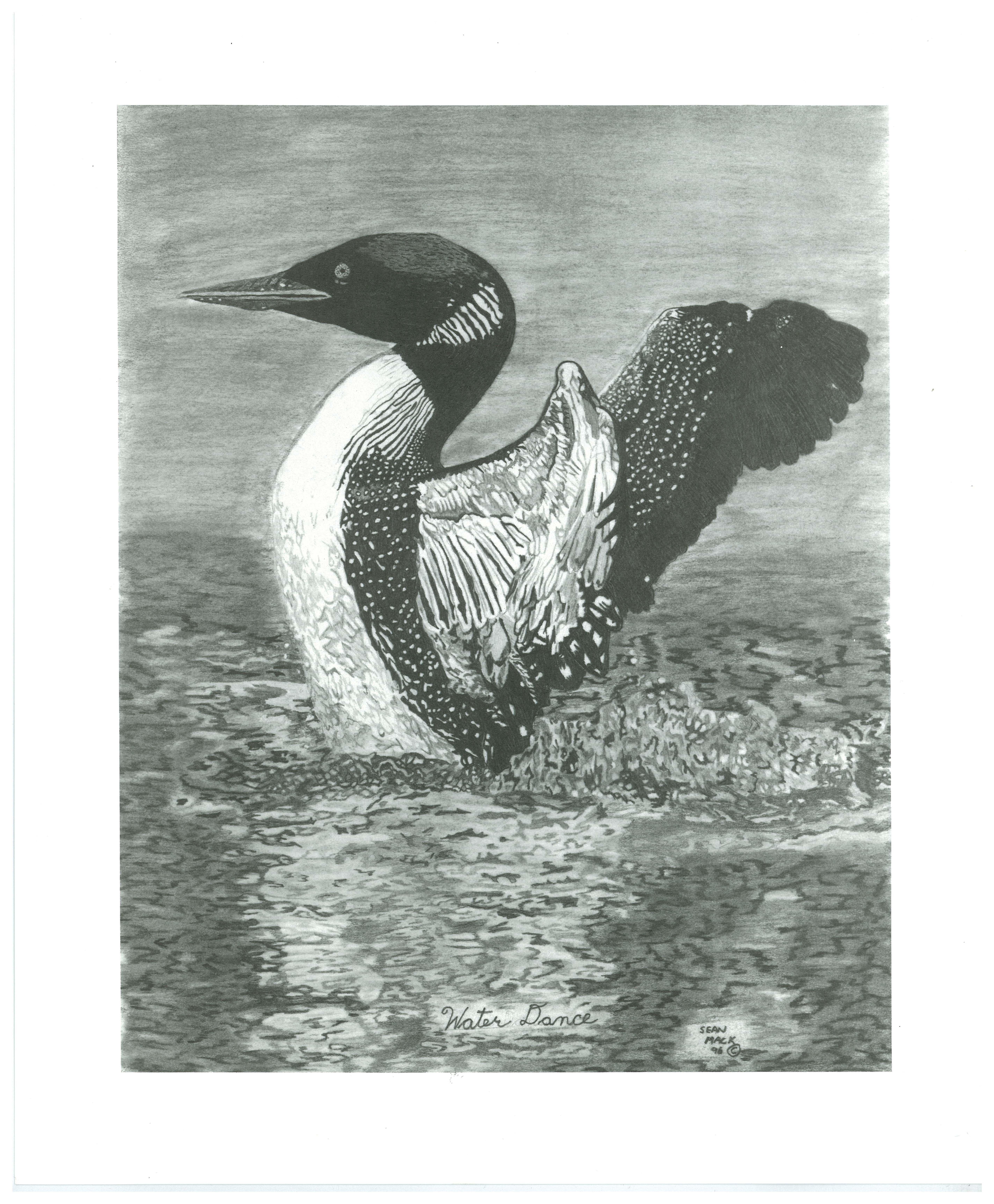 swan 11.5X9.5 $5.jpg