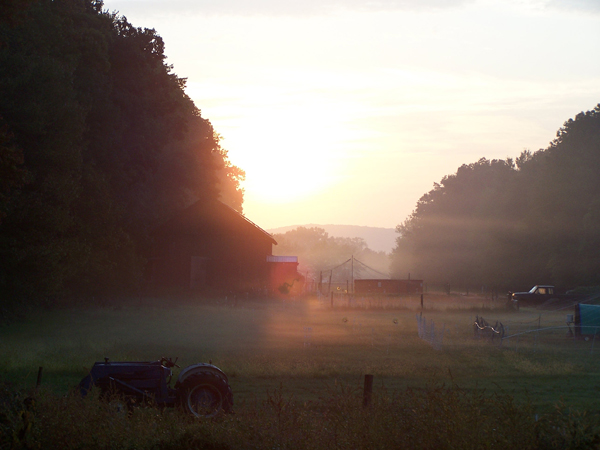 Cloudy sunrise3 crop September 2019.jpg