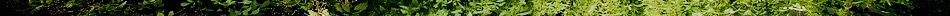 e053268dbfda70342042309b0c9be272-d41kpt2 2.jpg