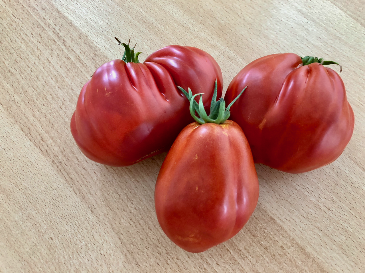 Oxheart Tomato 牛の心臓トマト おいしいです Steemit