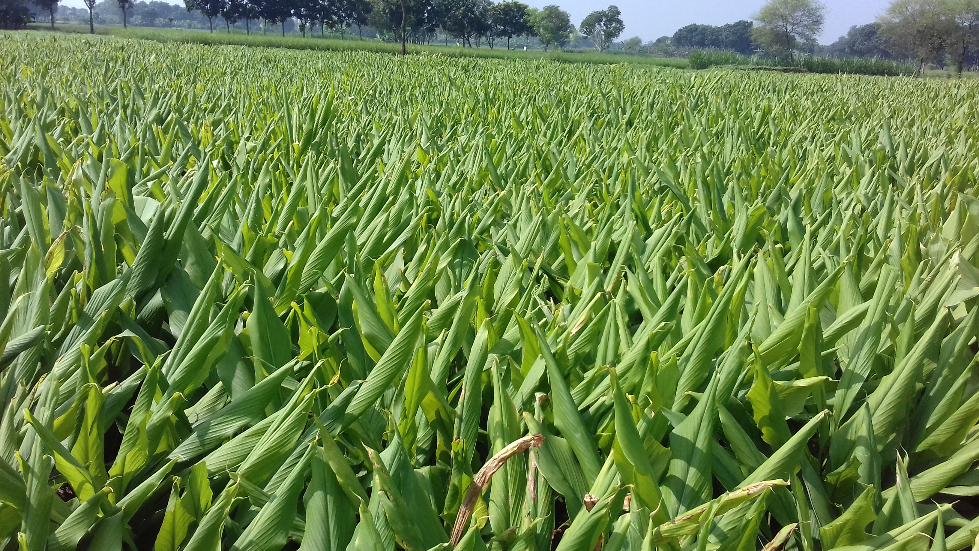 20201017_103612.jpg