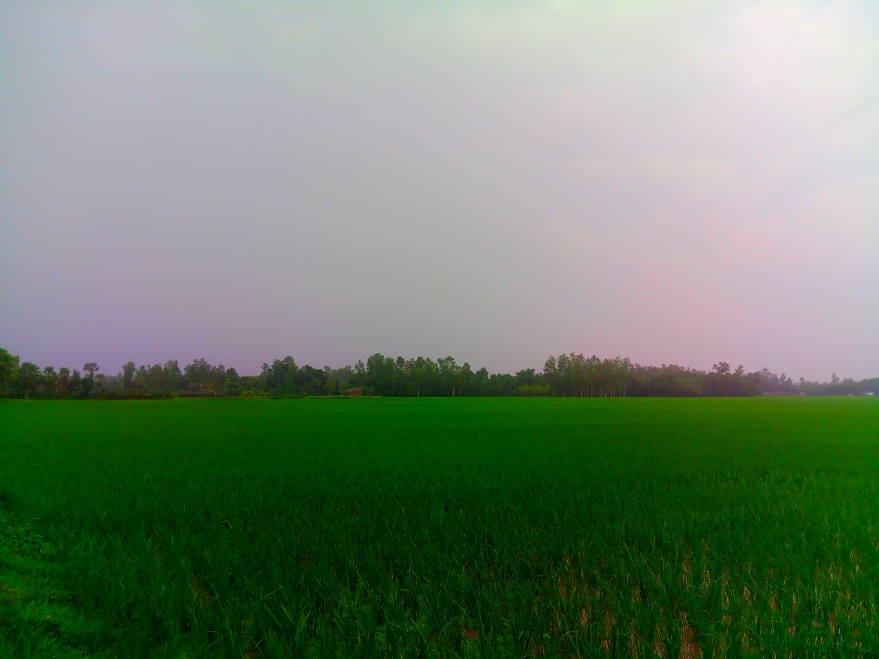 20210927_175120.jpg