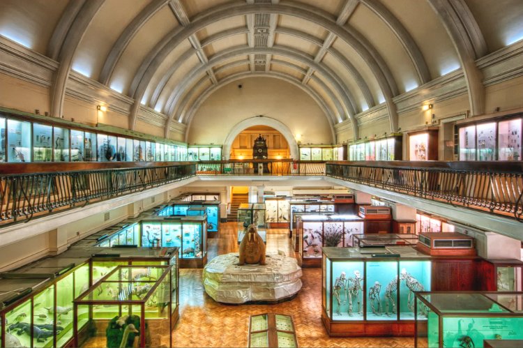 horniman-museum-unusual.jpg