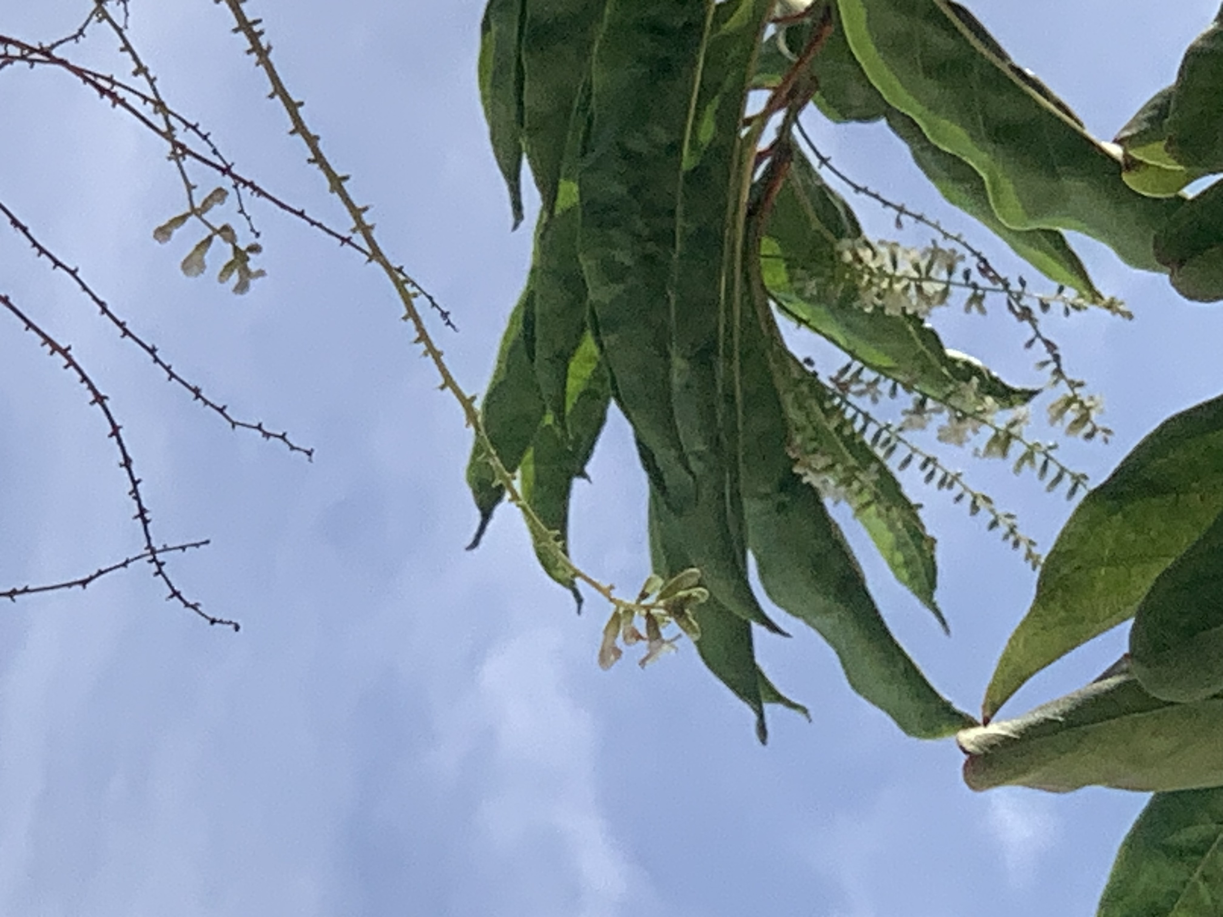 nature805.jpg