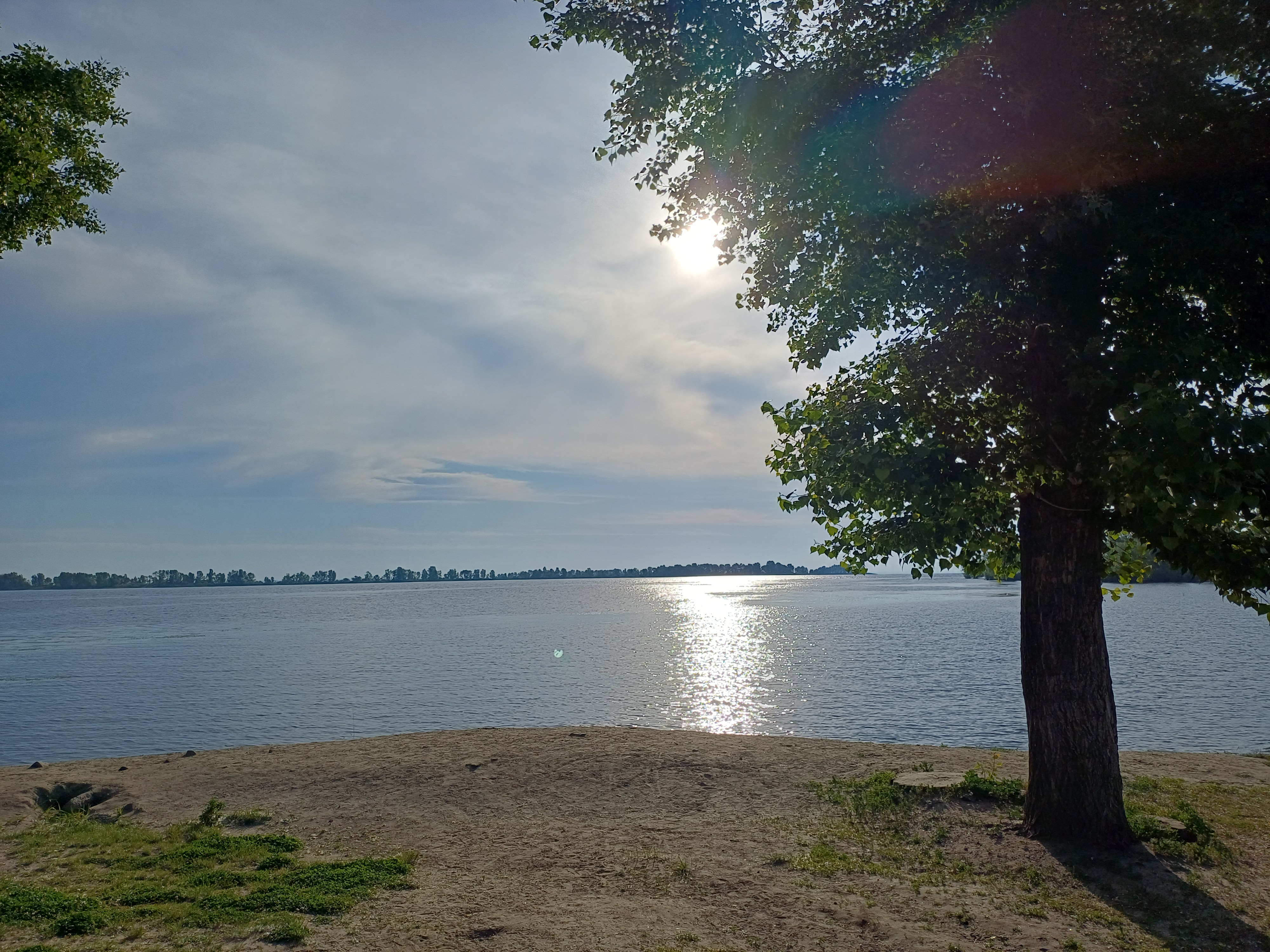 20260605_071000.jpg
