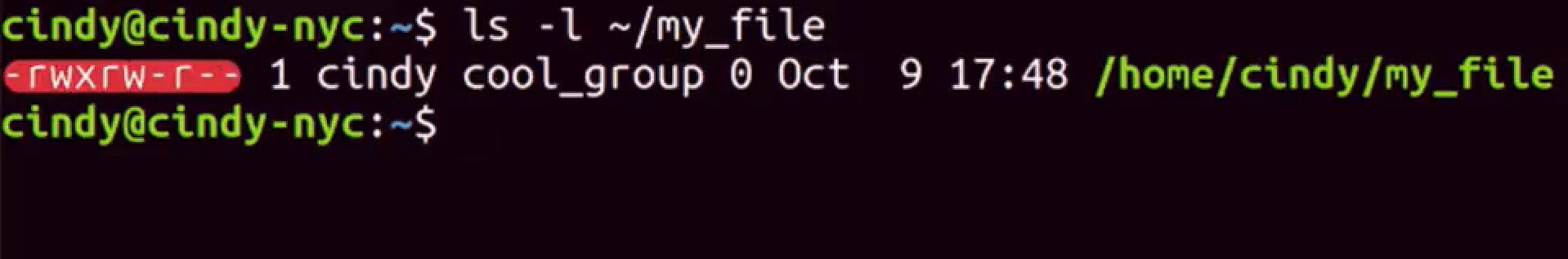 file permission linux.jpg