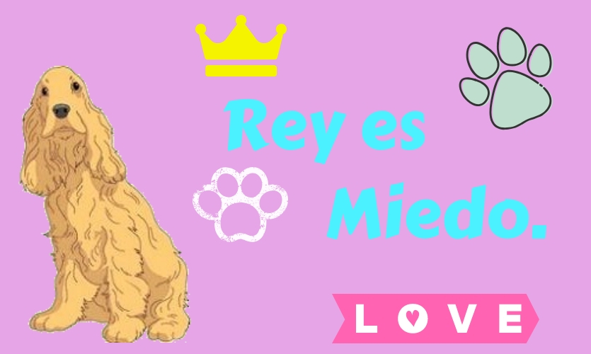 Mi papá es tristeza (5).jpg