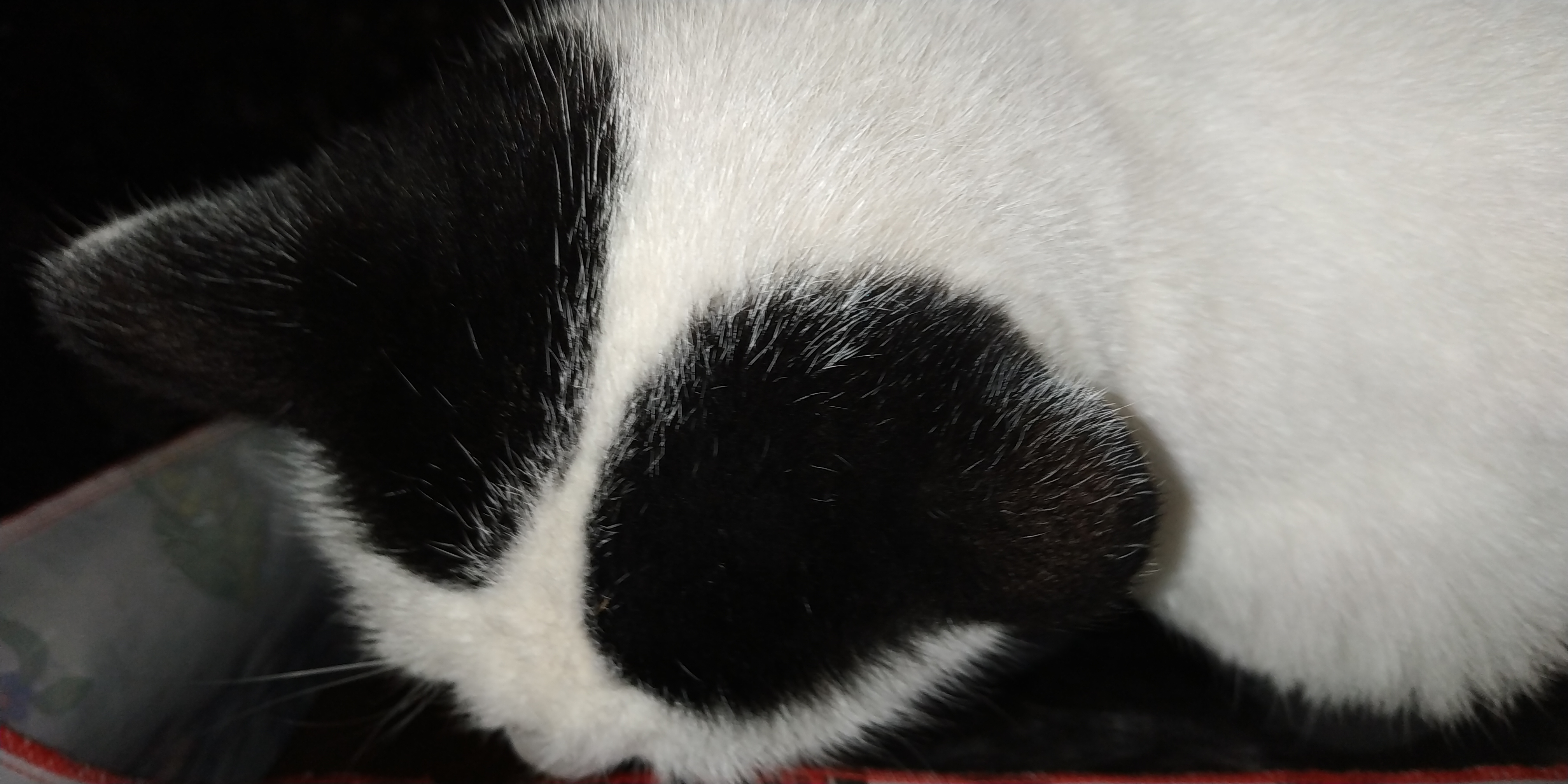 IMG_20221119_201152.jpg