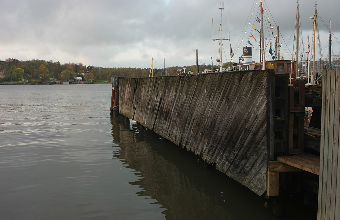 10200783.JPG