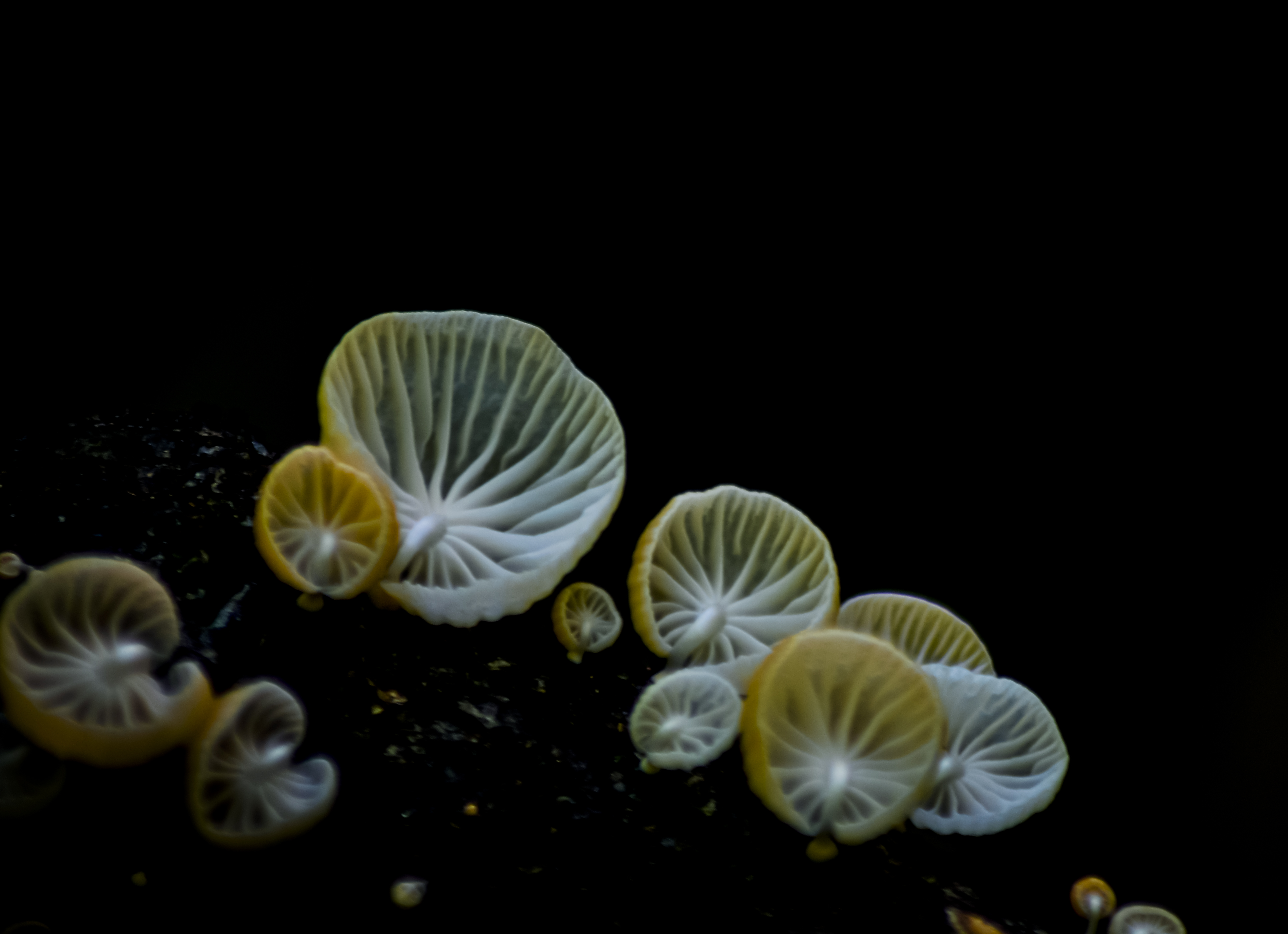 _AHW1222.jpg