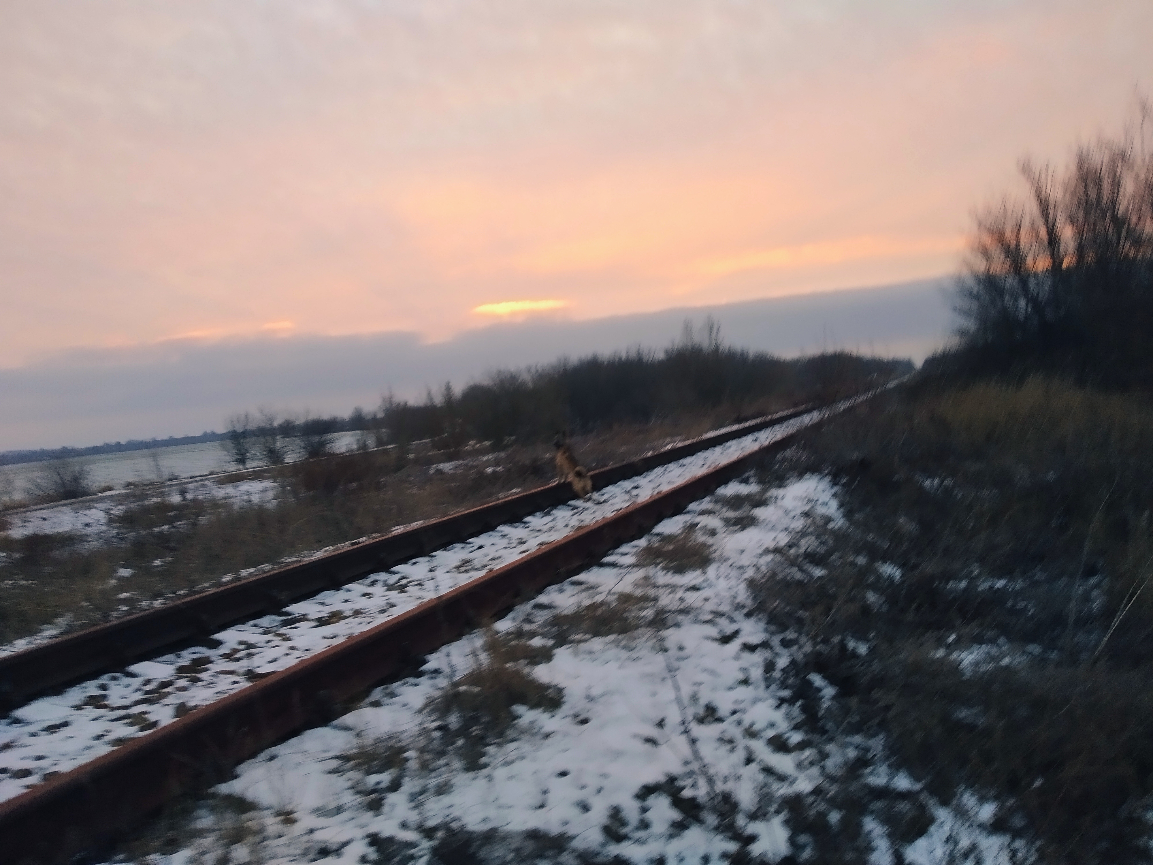 IMG_20201222_175852.jpg