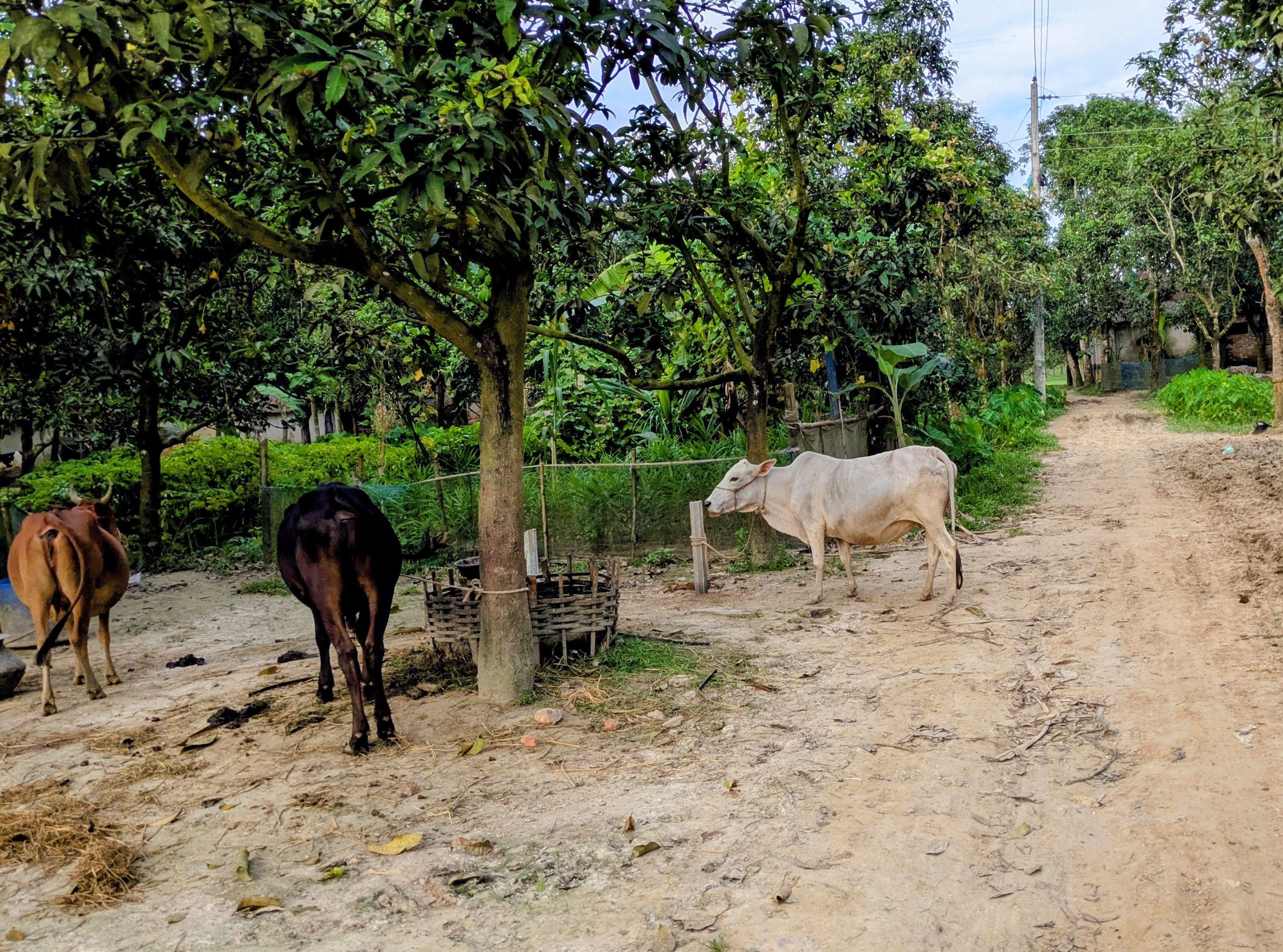 1806.jpg