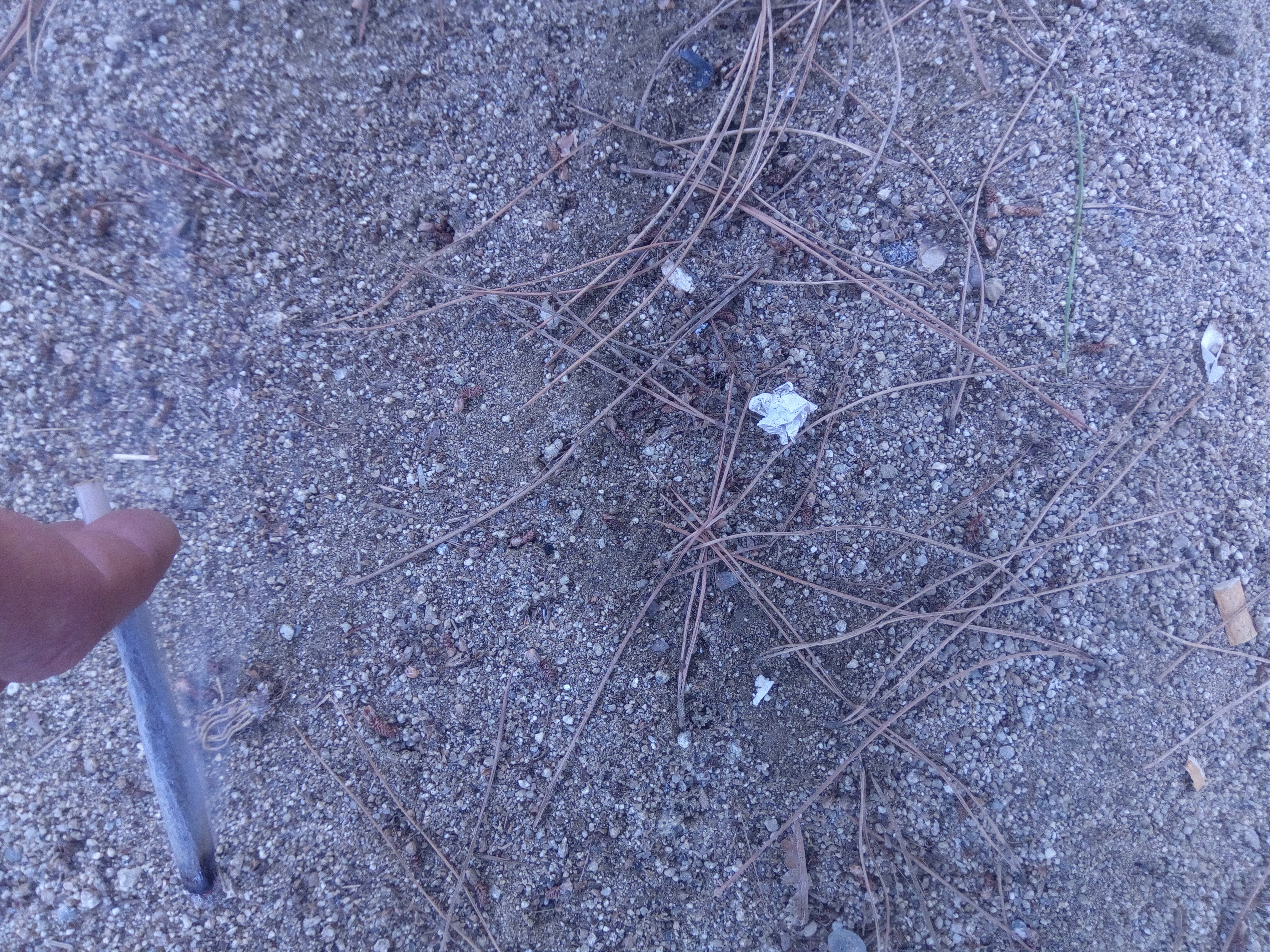 IMG_20190814_180626.jpg