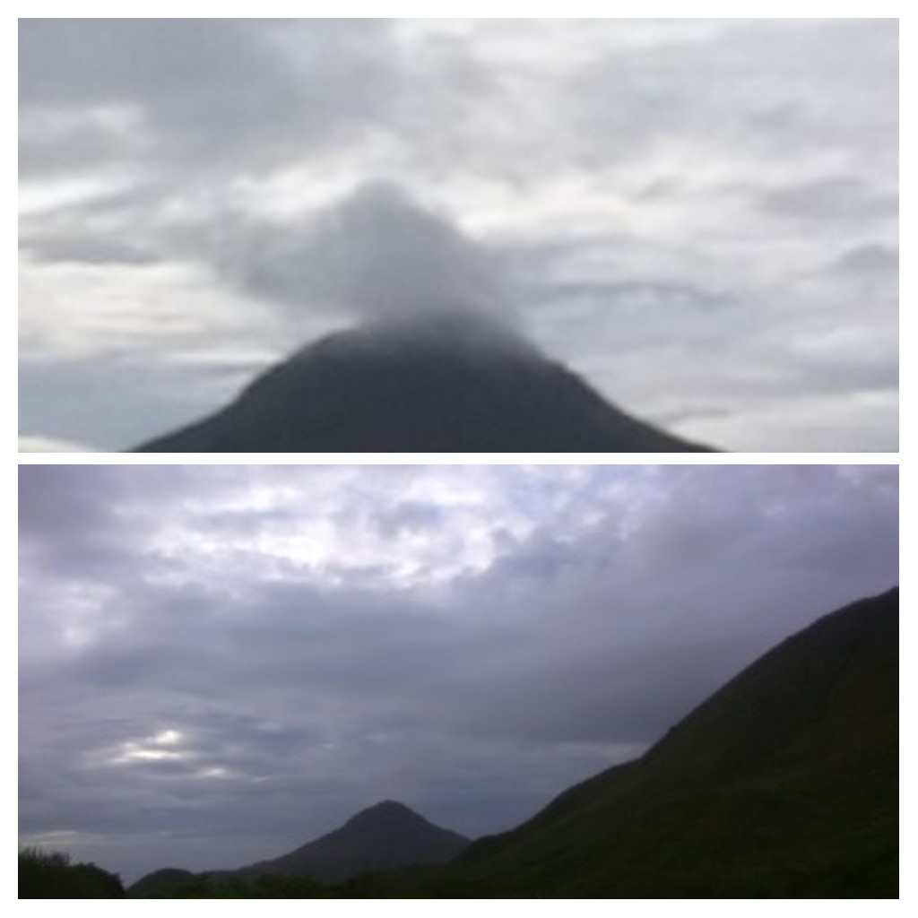 20210604_122643-COLLAGE.jpg