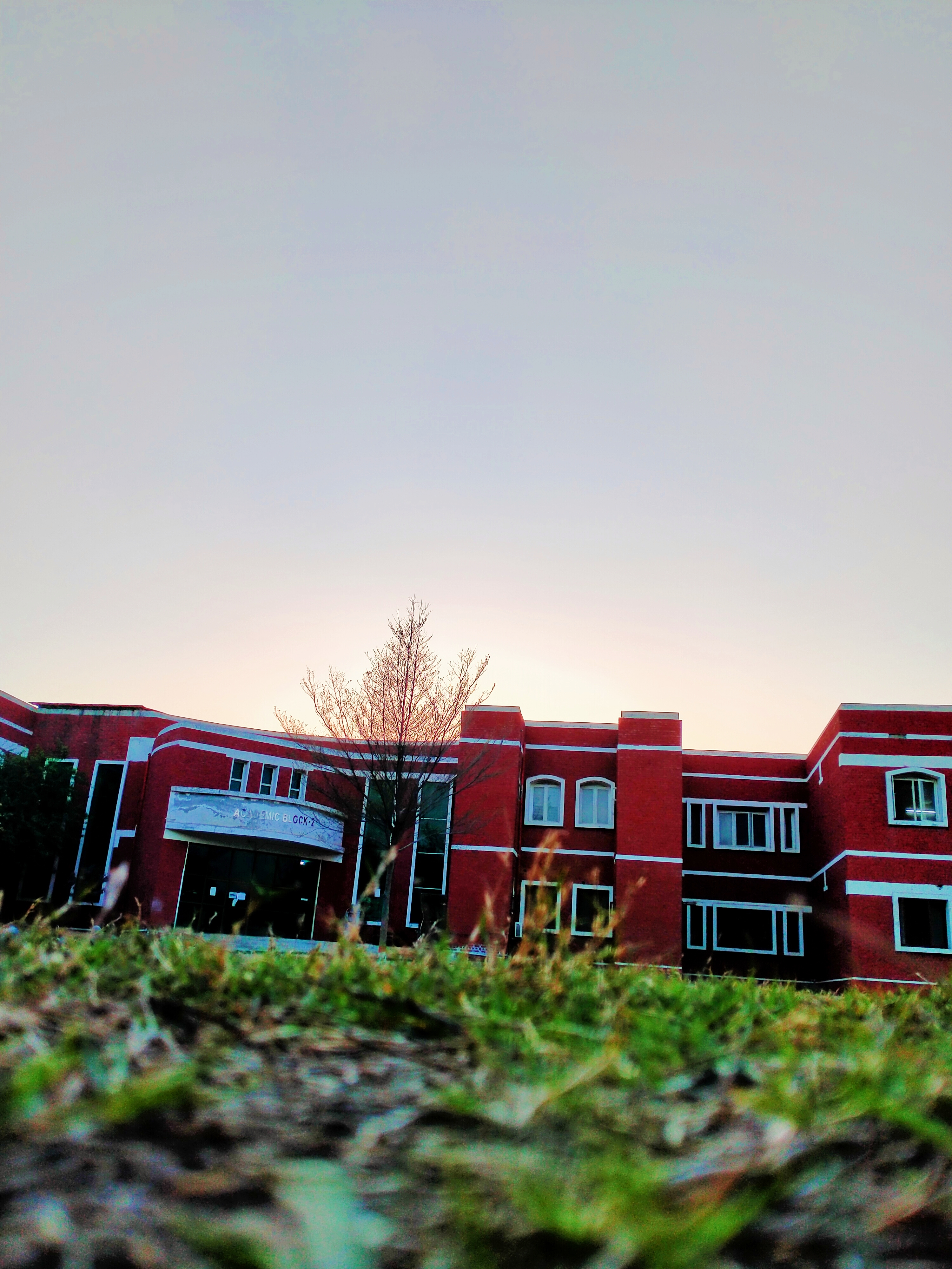 IMG_20210324_063414.jpg
