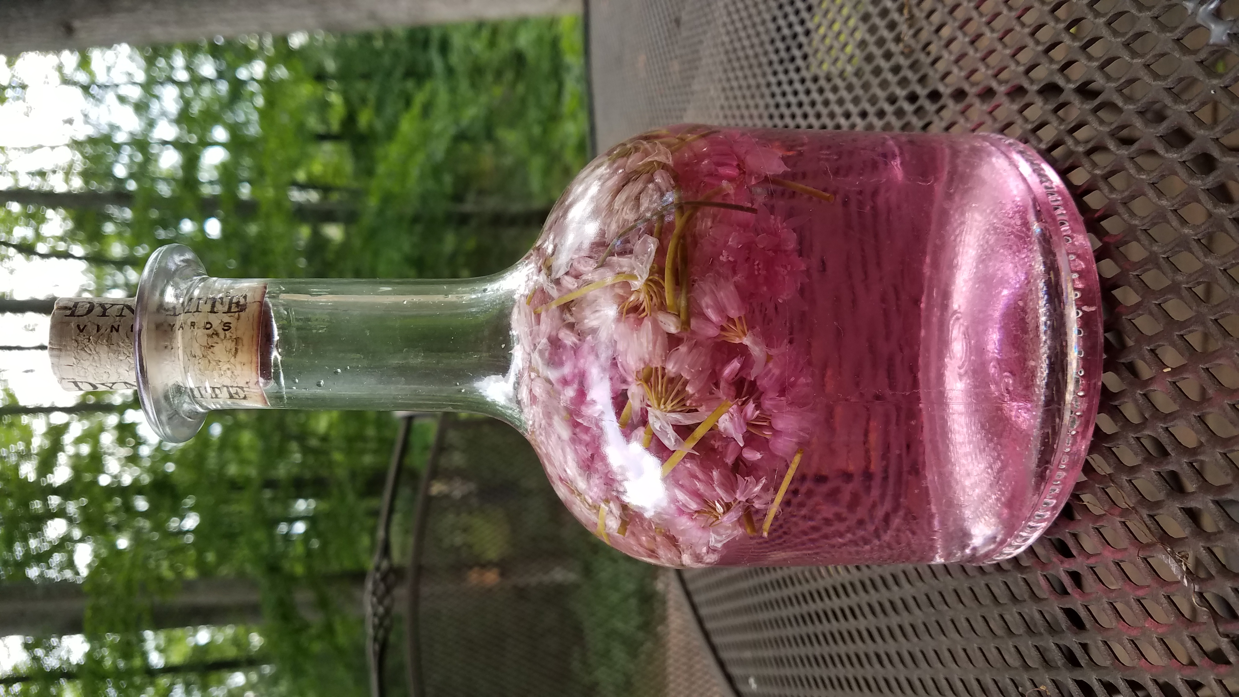 20190625_171634.jpg
