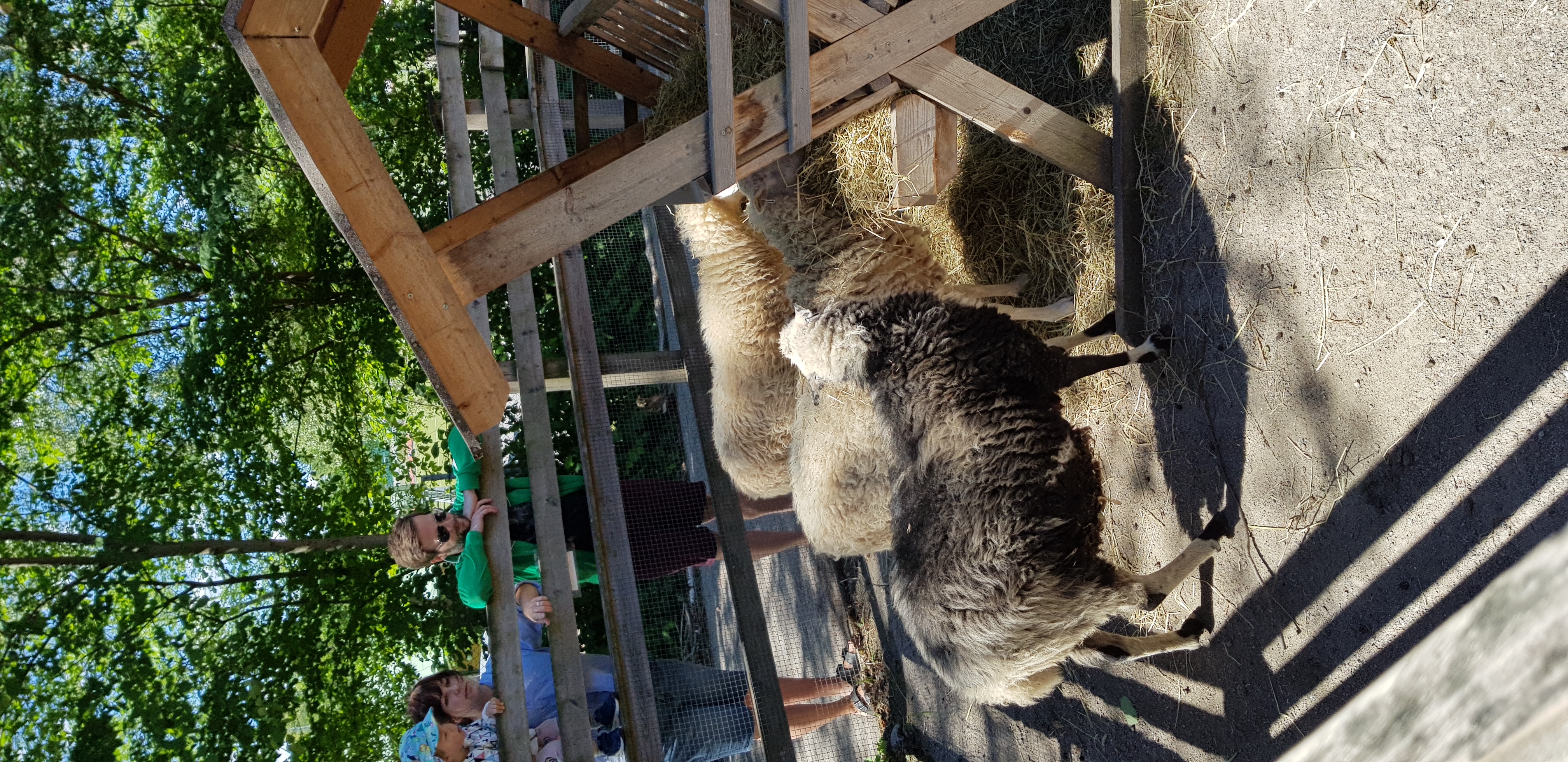 20180701_132453.jpg