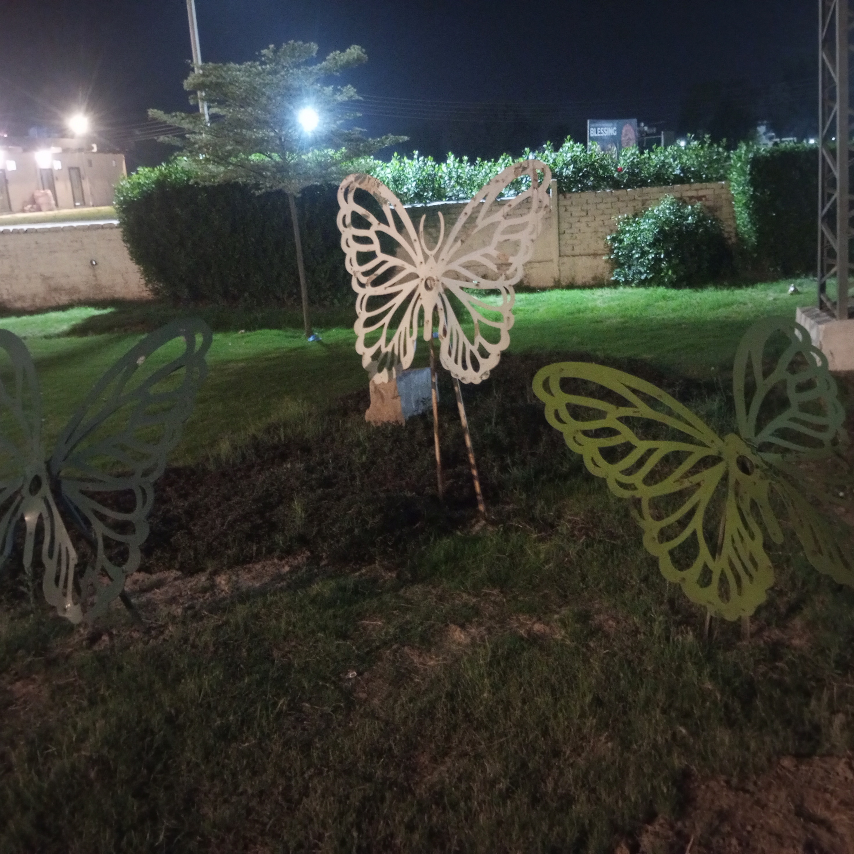 IMG_20260331_195726_996.jpg