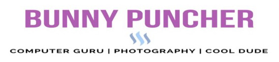 bunny-banner - 1.jpg
