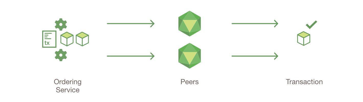step5.png