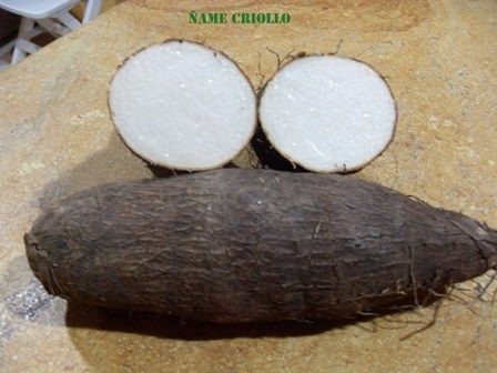 %C3%91AME.jpg