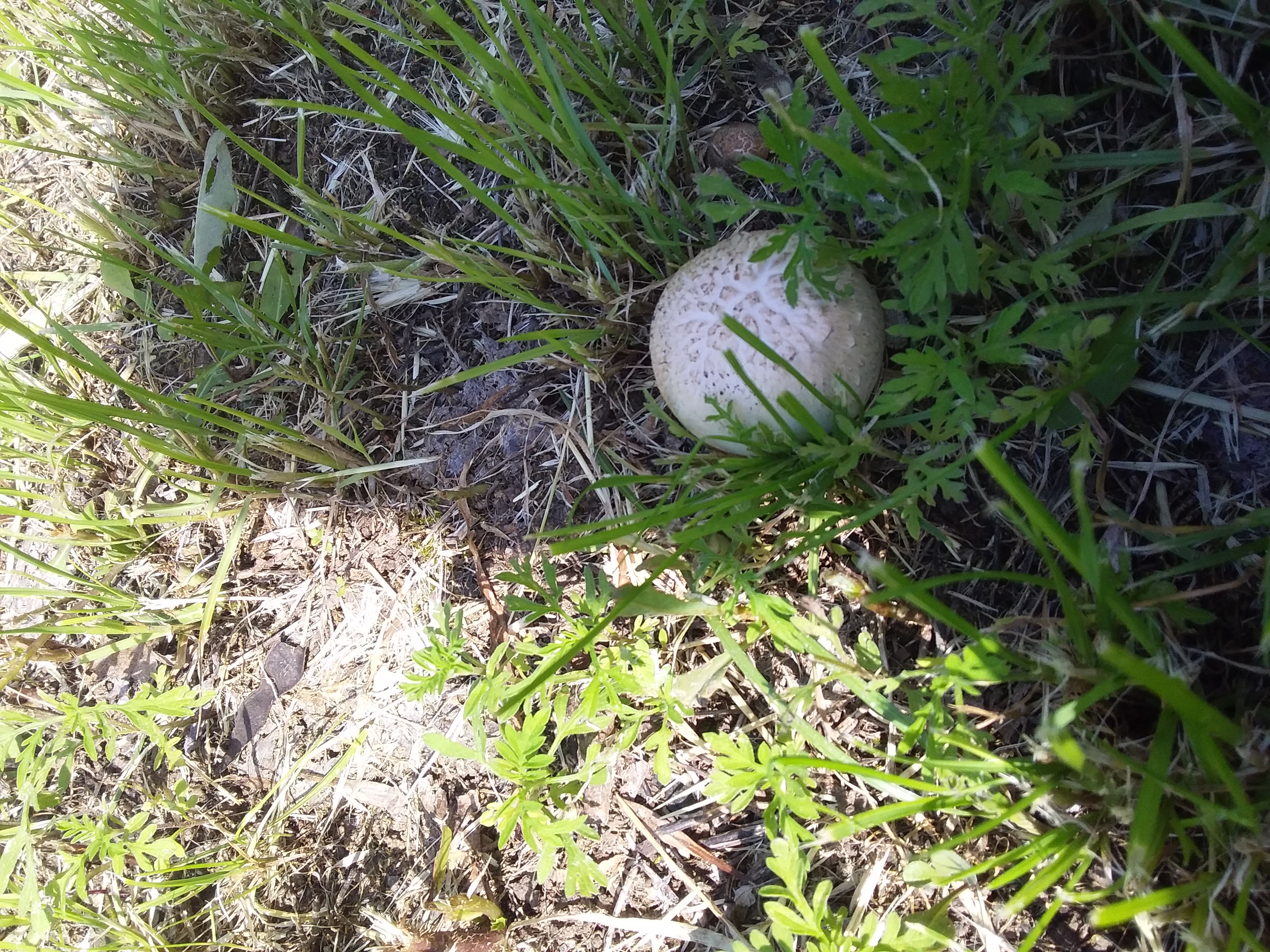 20210612_153548.jpg