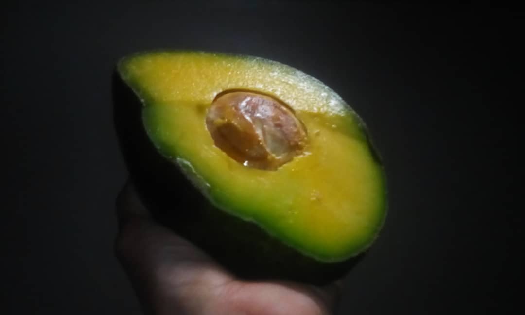 aguacate.jpeg