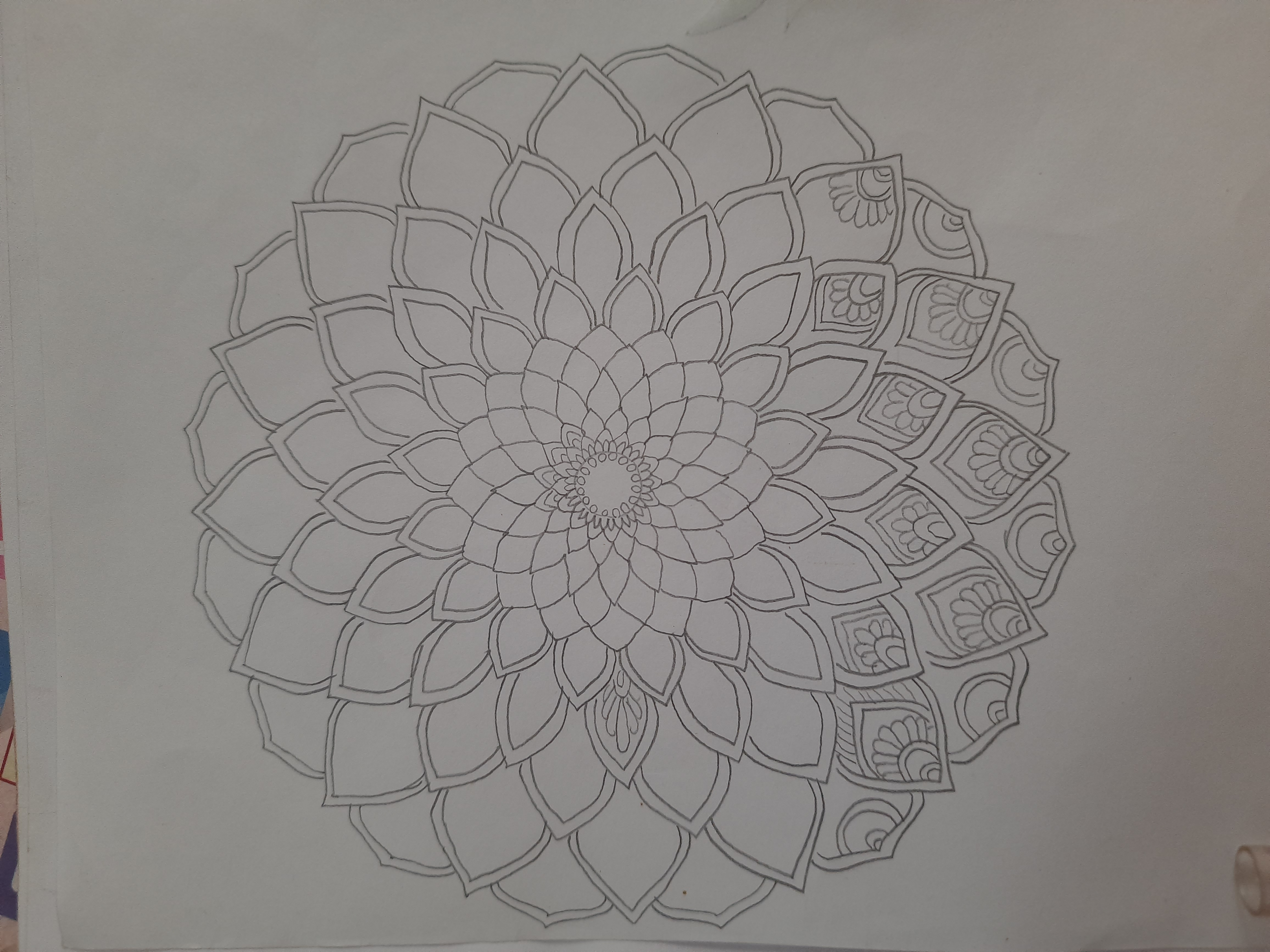 20260406_155251.jpg