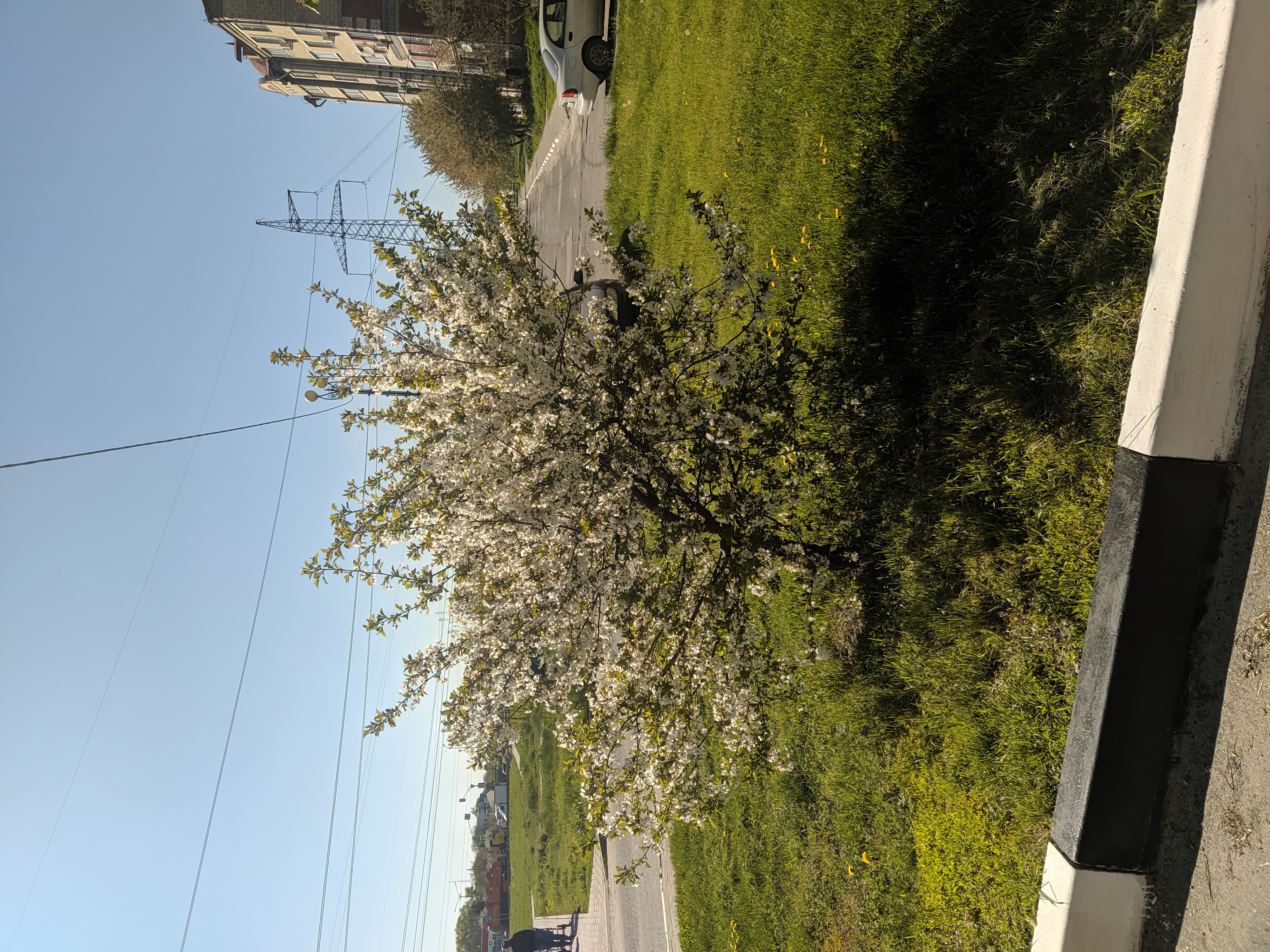 IMG_20220506_153750.jpg