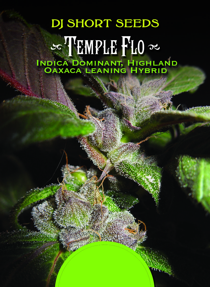 Temple Flo Card 3 Back.jpg