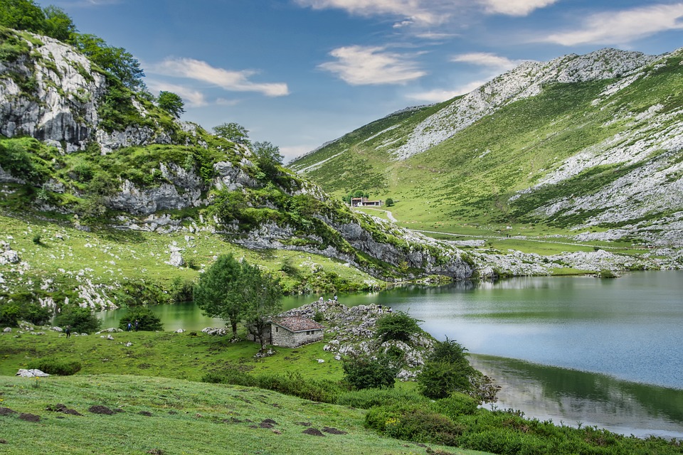 lake-6701636_960_720.jpg